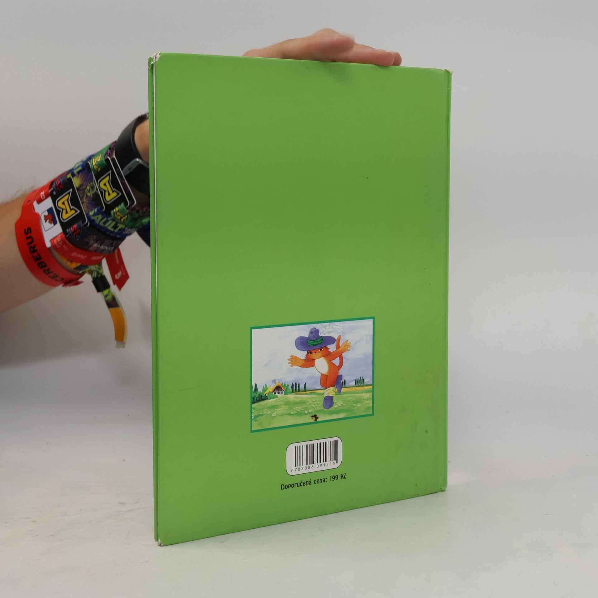 Various authors O Šípkové Růžence a jiné pohádky