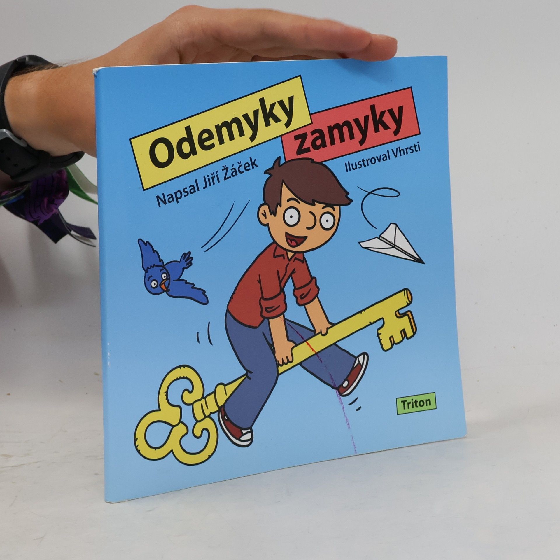 Vhrsti Odemyky zamyky