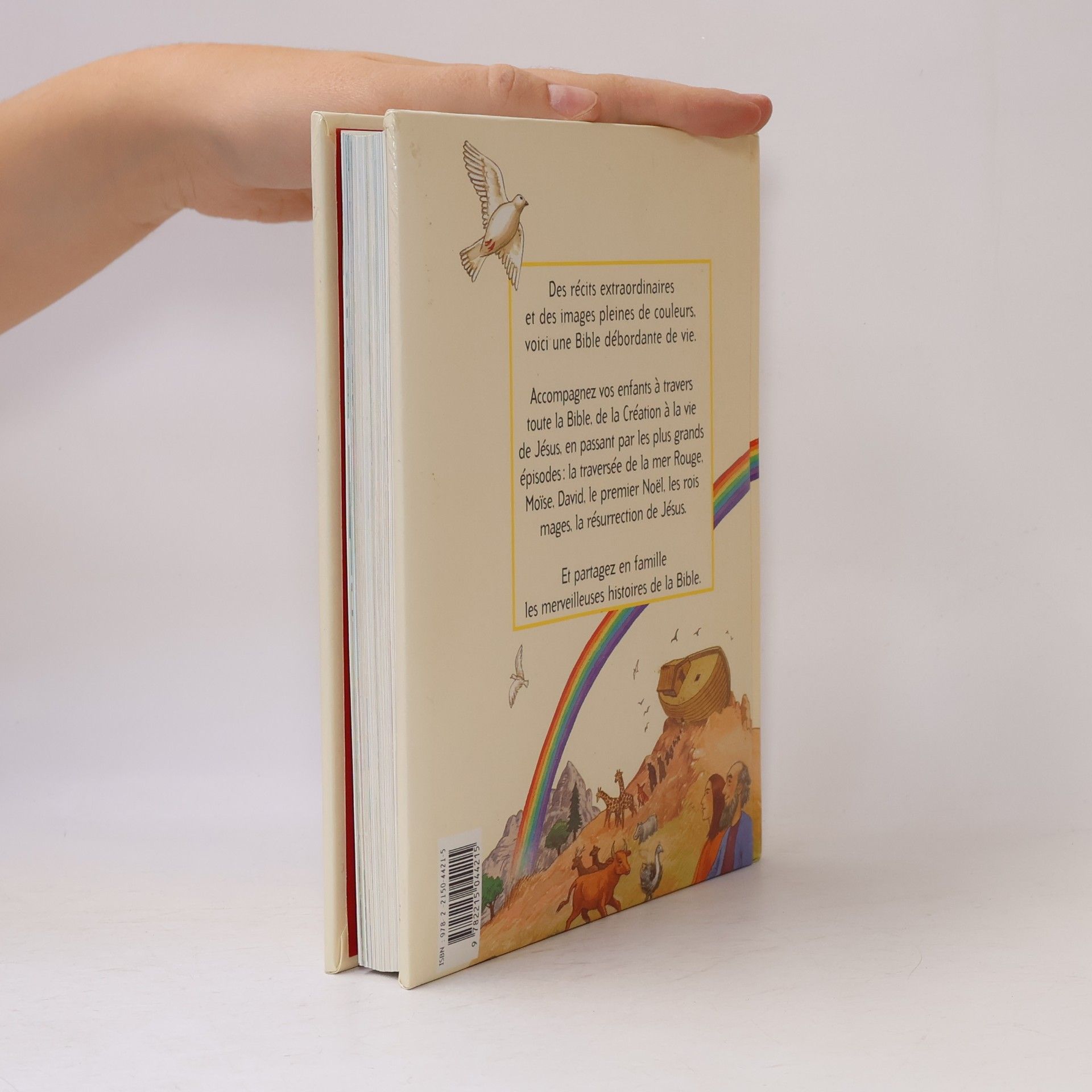 Karine-Marie Amiot La Bible illustrée pour les enfants