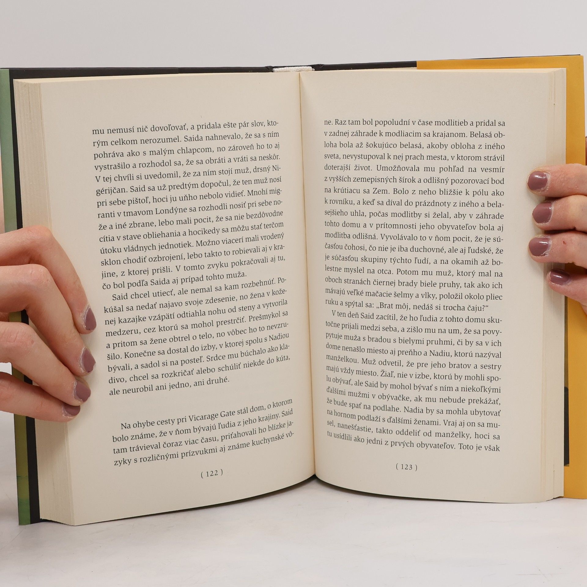 Mohsin Hamid Exit Západ