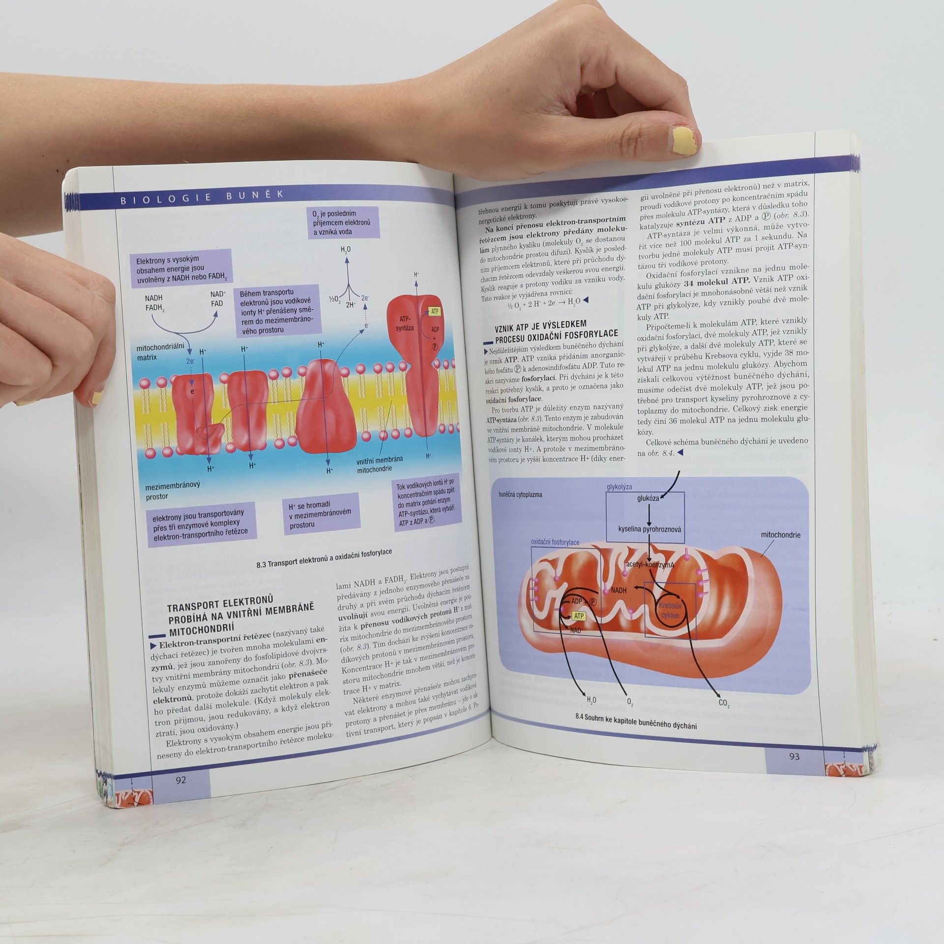 Radka Závodská Biologie buněk: Základy cytologie, bakteriologie, virologie