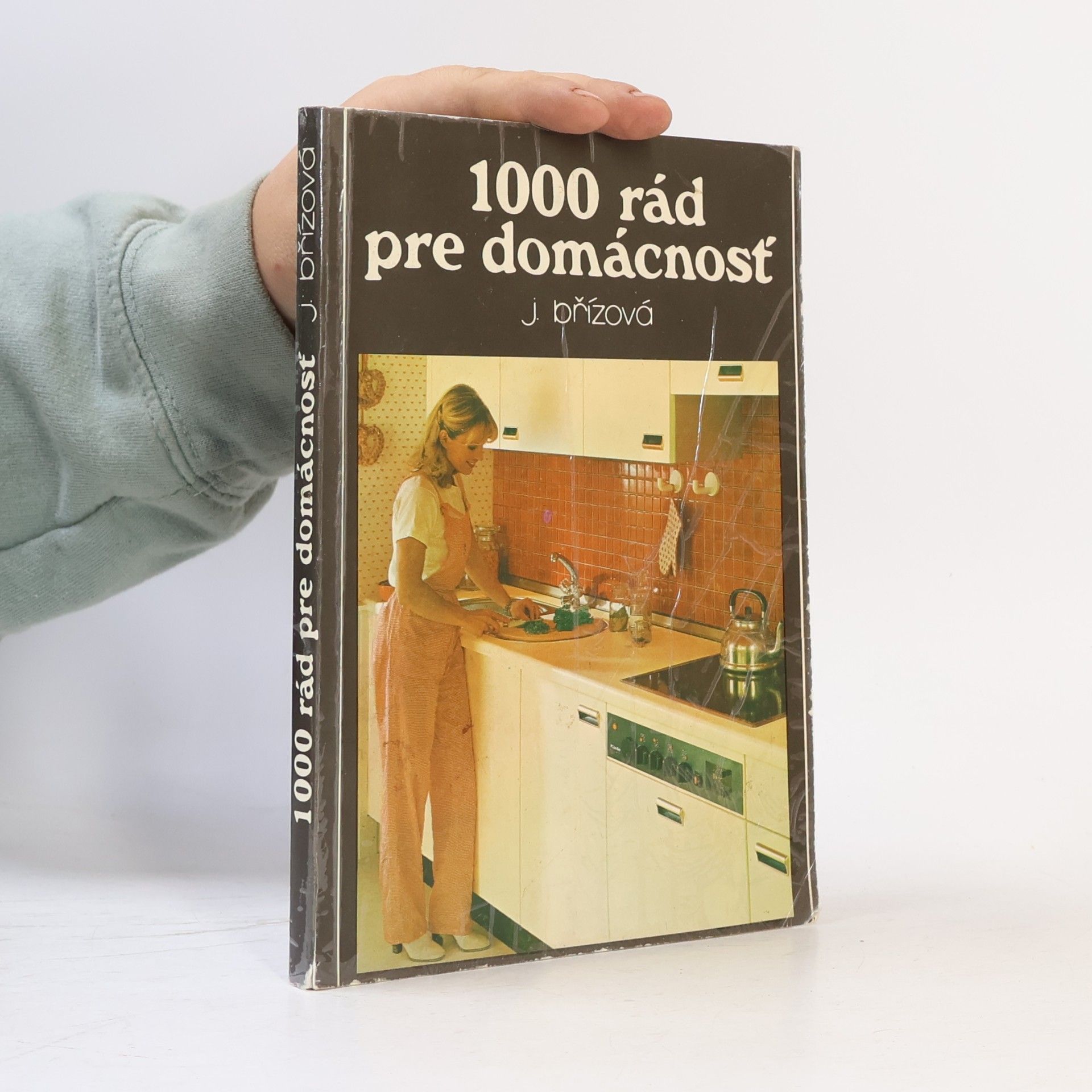J. Břízová 1000 rád pre domácnosť