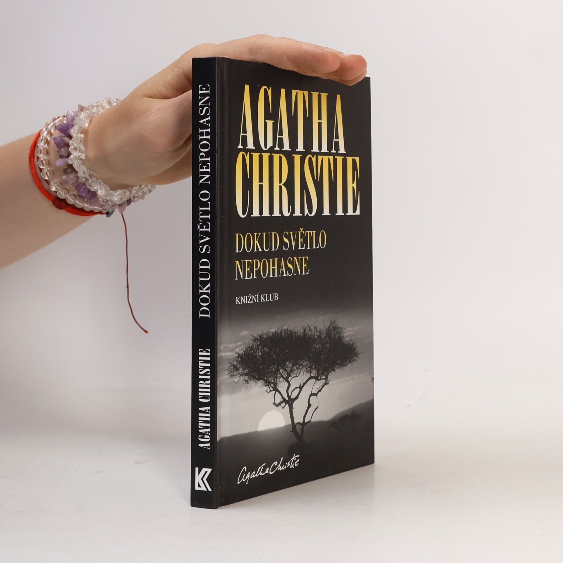 Agatha Christie Dokud světlo nepohasne
