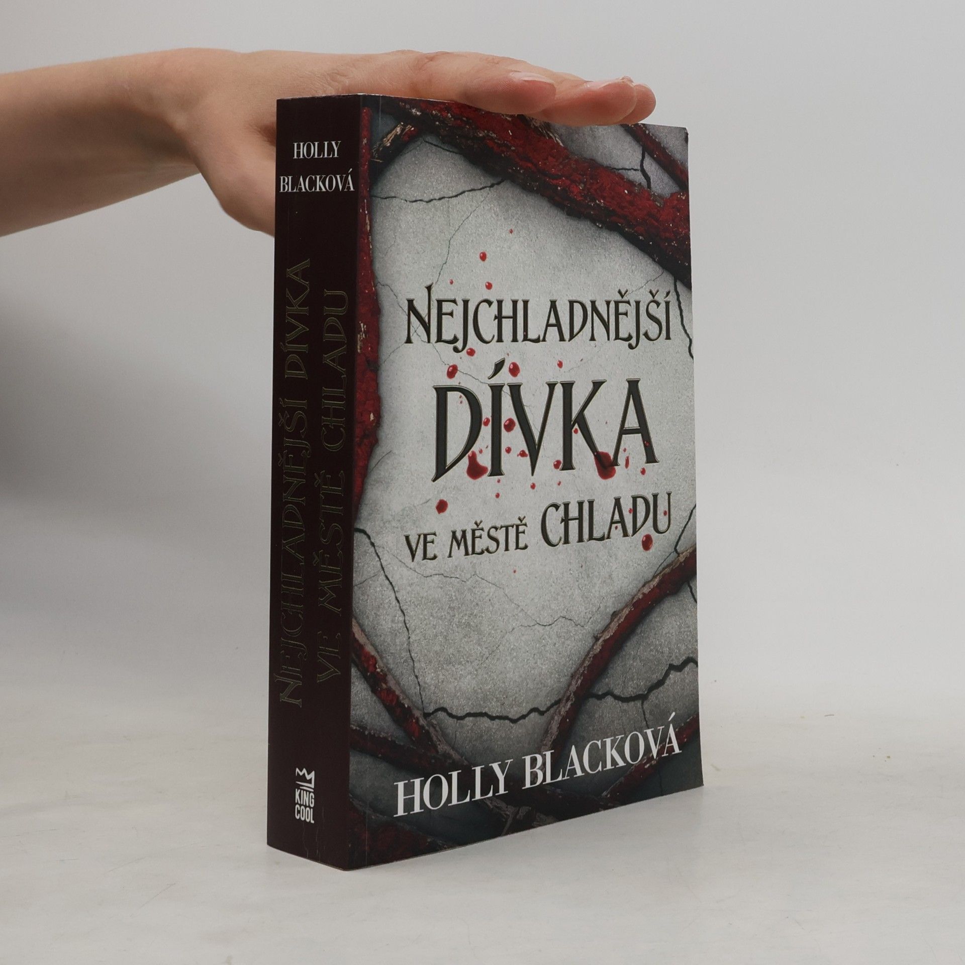 Holly Black Nejchladnější dívka ve městě chladu