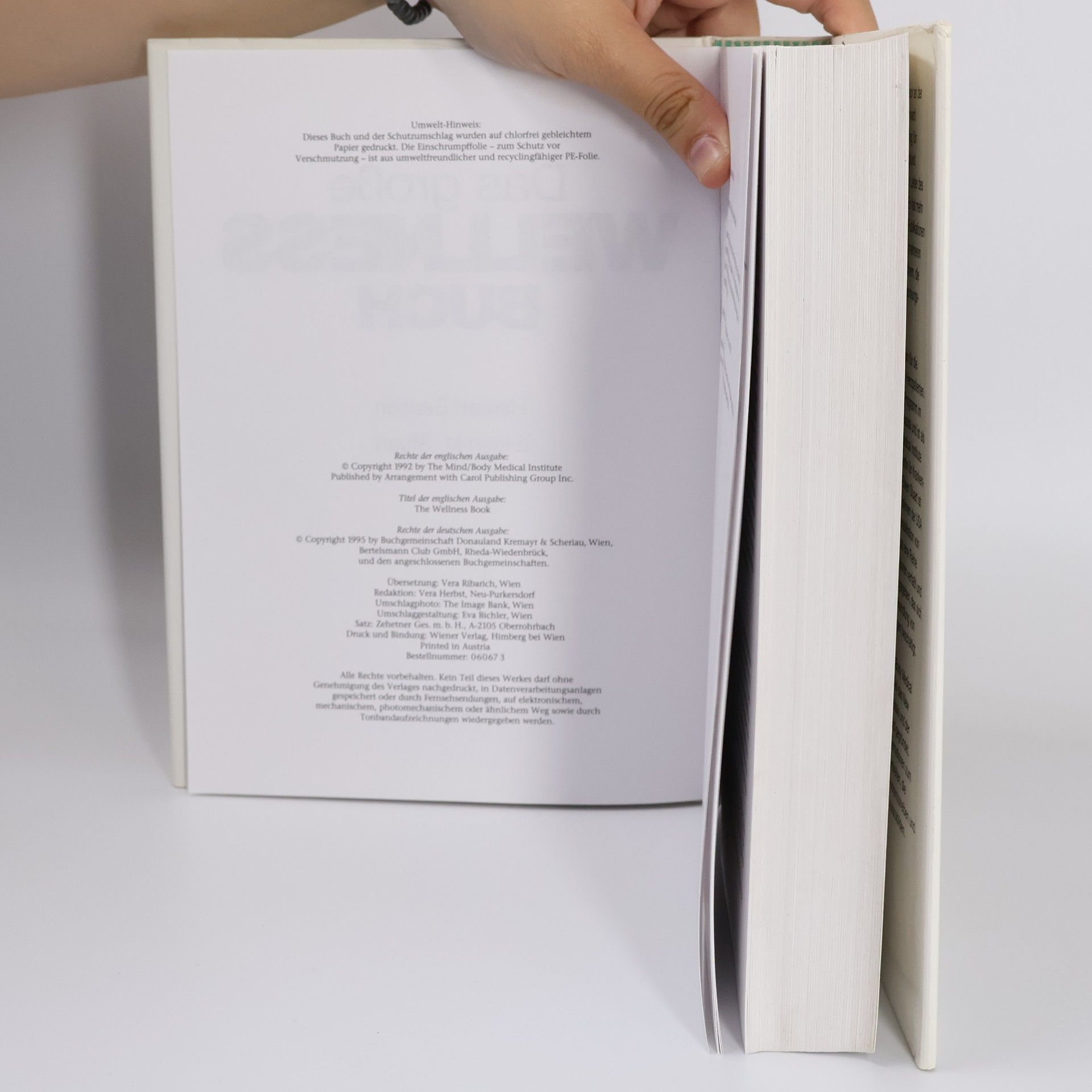 Herbert Benson Das große Wellness Buch
