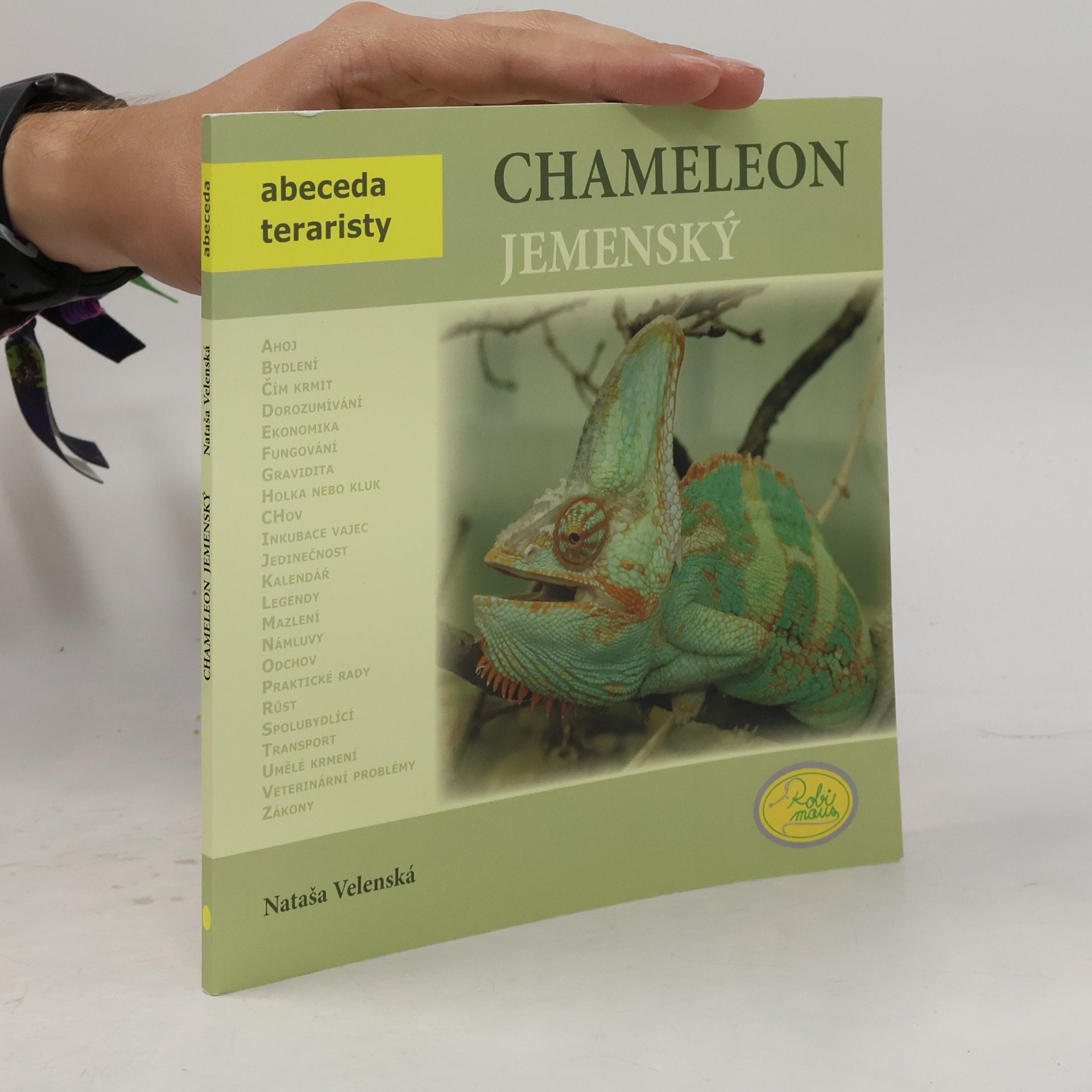 Nataša Velenská Chameleon jemenský