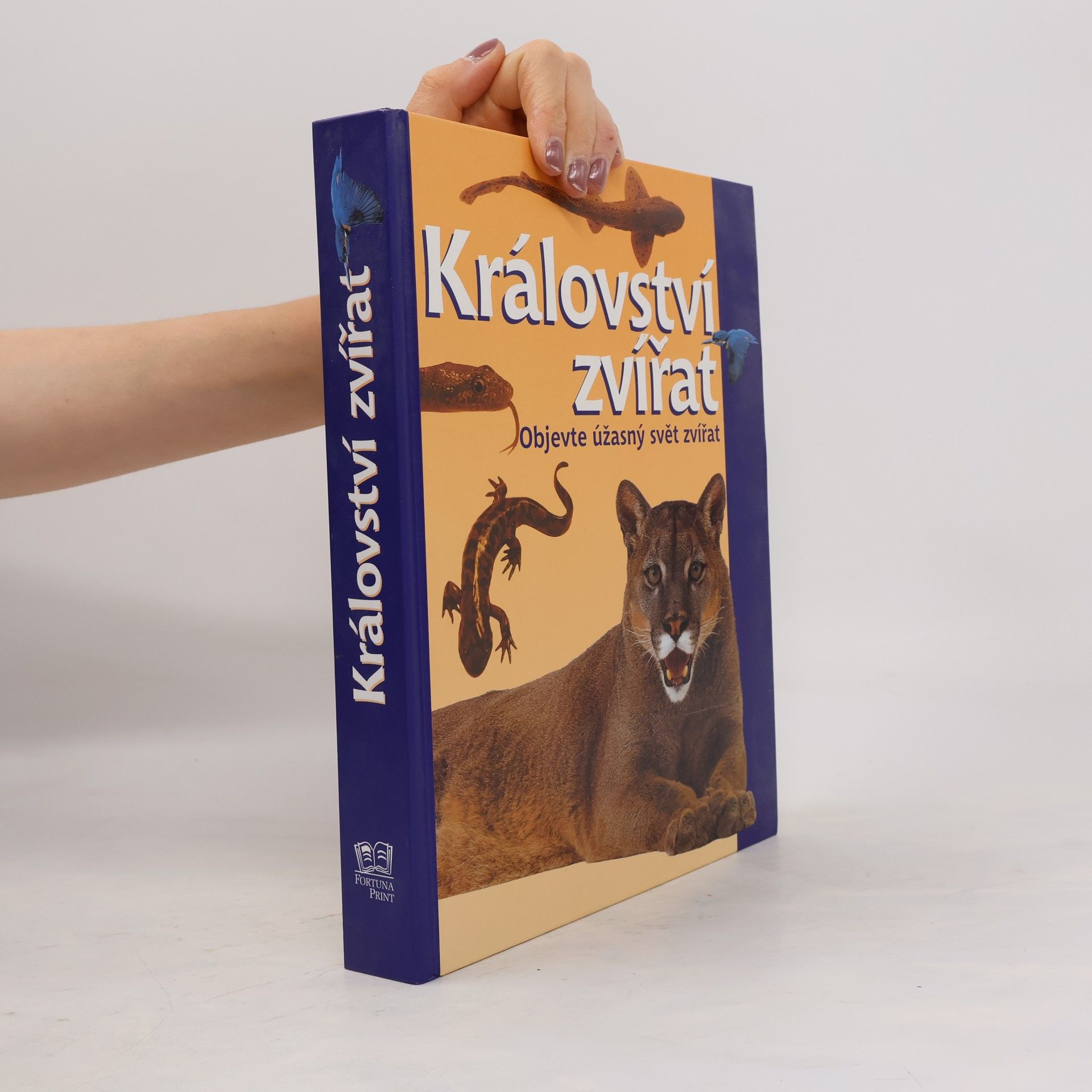 David Burnie Království zvířat