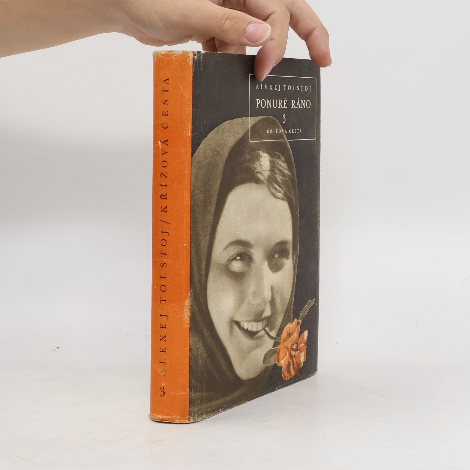 Lew Nikolajewitsch Tolstoi Křížová cesta 3. Ponuré ráno