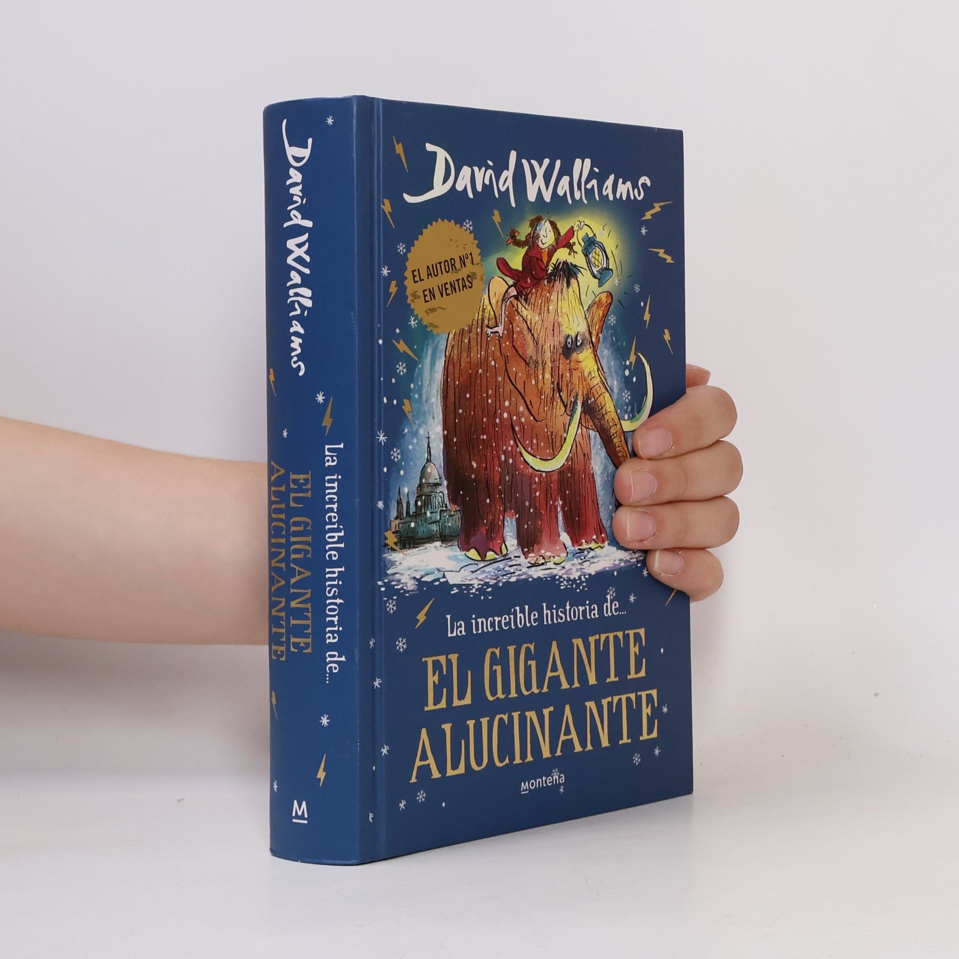 Rita Da Costa García La increíble historia de...: El gigante alucinante