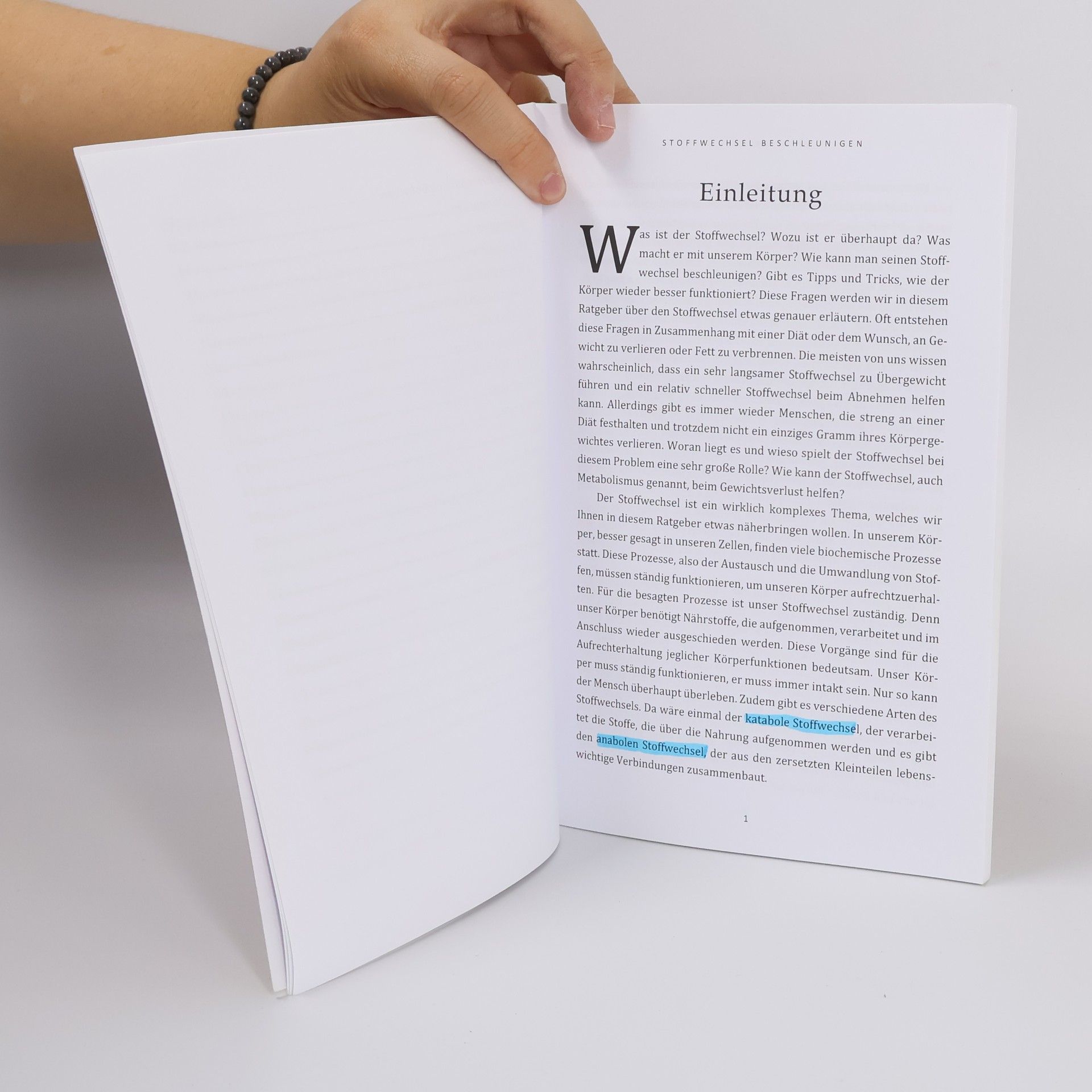 Autorenkollektiv Stoffwechsel beschleunigen