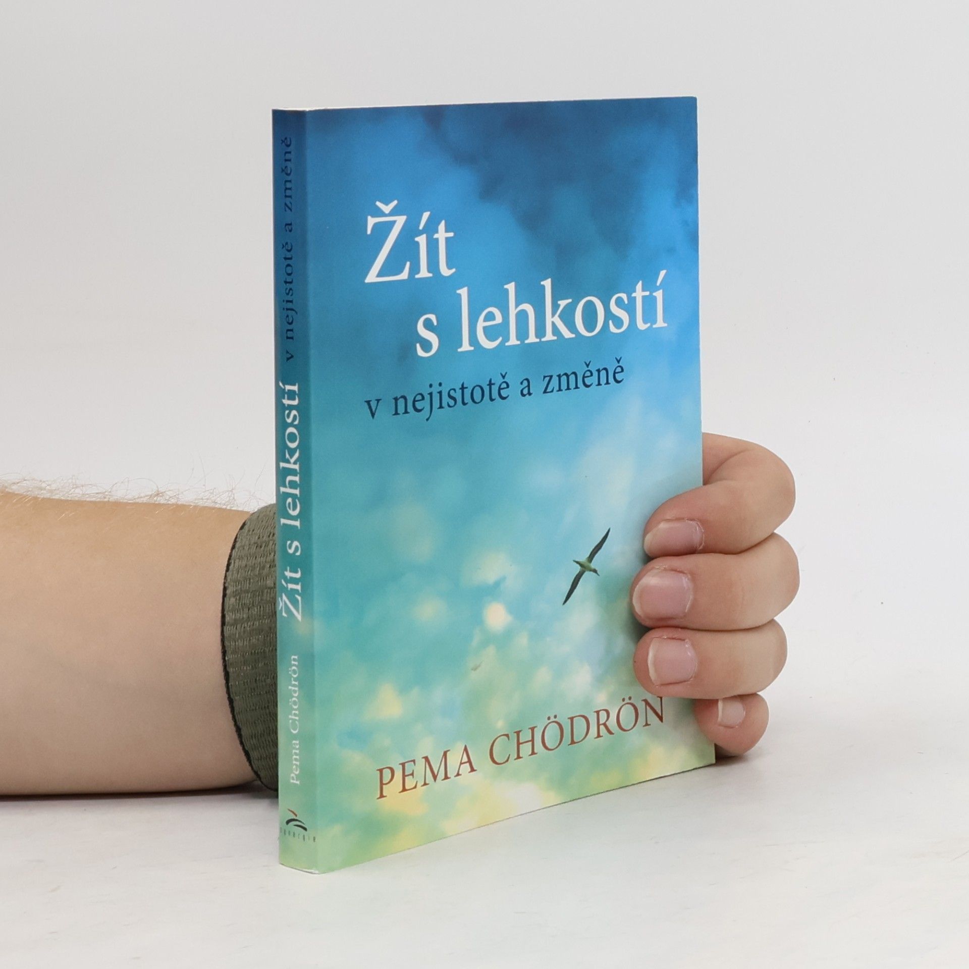 Pema Chödrön Žít s lehkostí