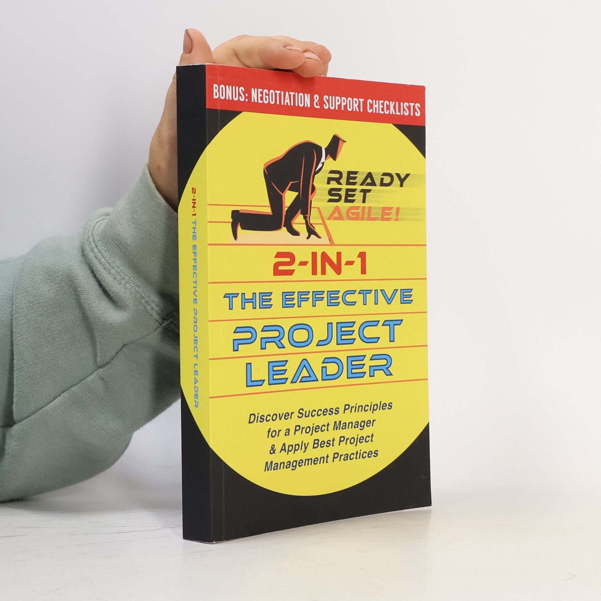 Ready Set Agile 2-in-1 The Effective Project Leader