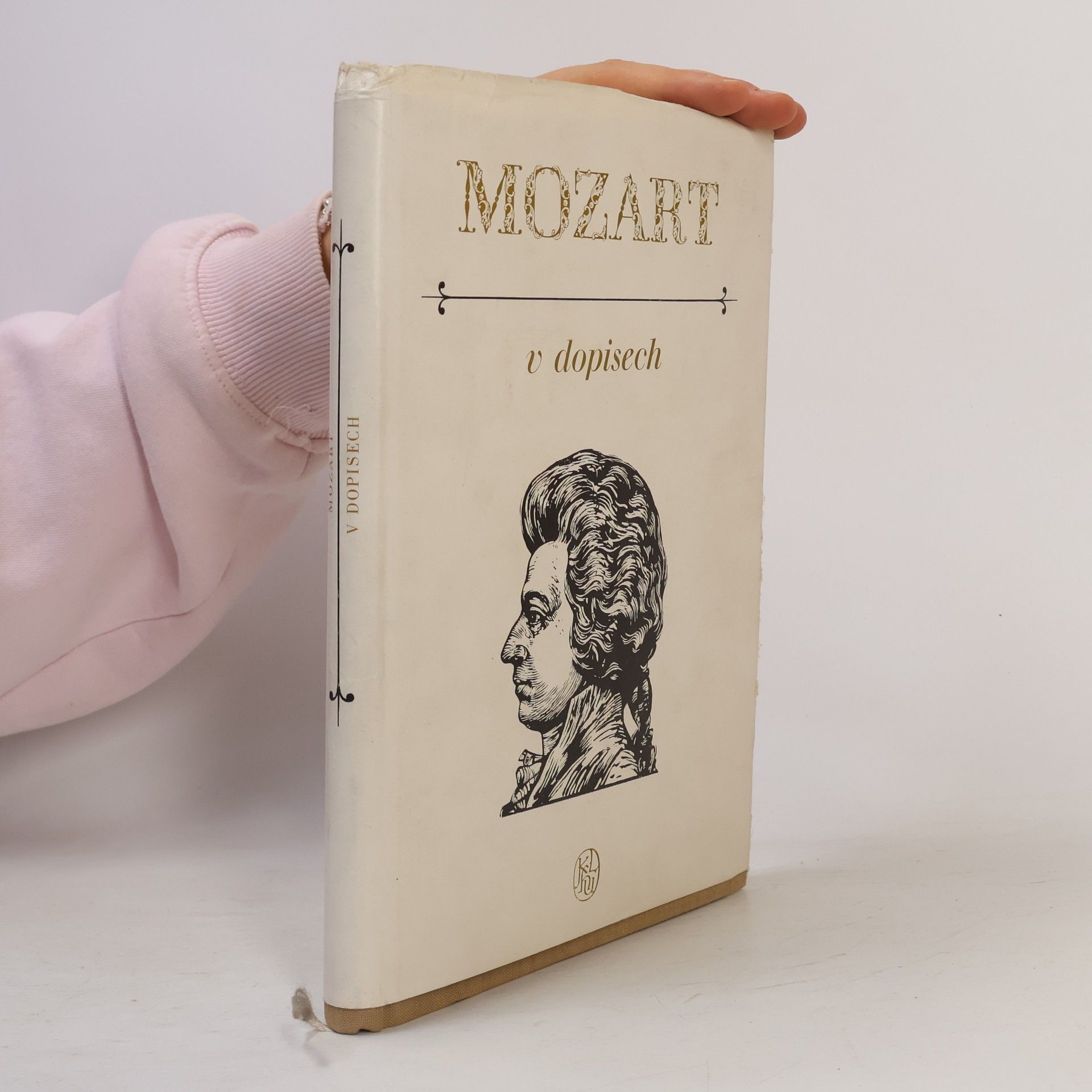 Kolektiv autorů Mozart v dopisech