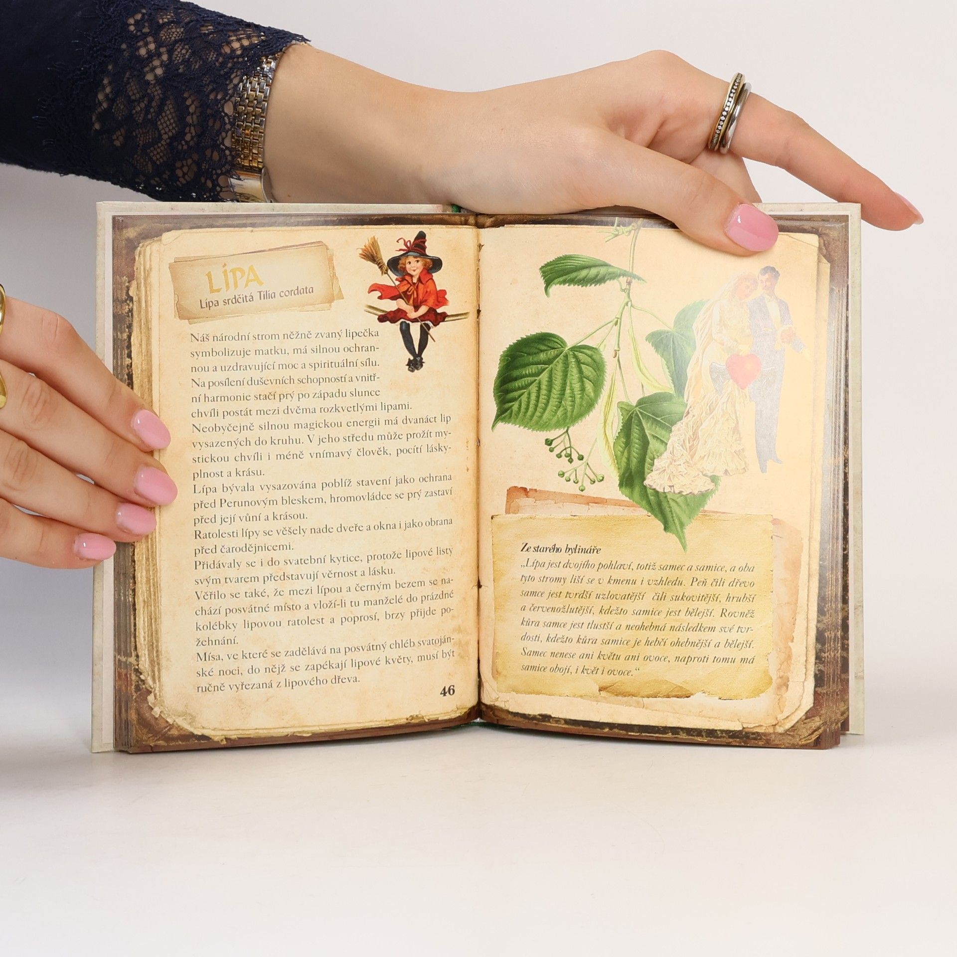Klára Trnková Magické byliny