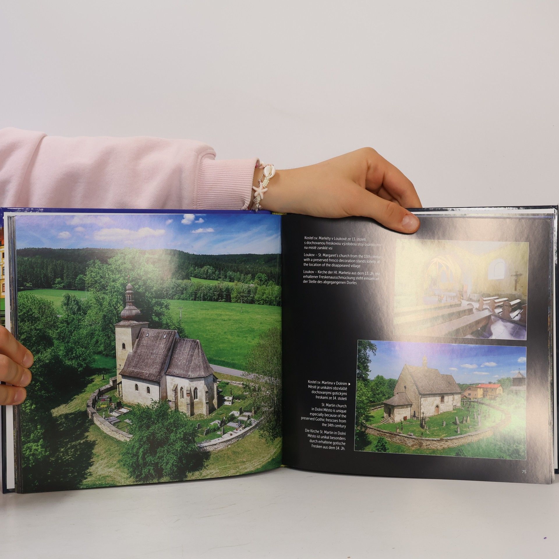Vladimír Kunc Vysočina : hrady, zámky, památky = castles, chateaus, monuments = Burgen, Schlösser, Denkmäler
