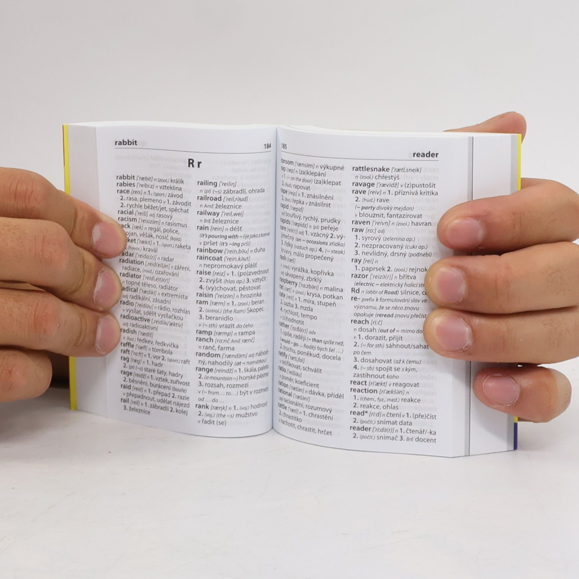 Autorenkollektiv Anglický kapesní slovník. Anglicko-český, česko-anglický