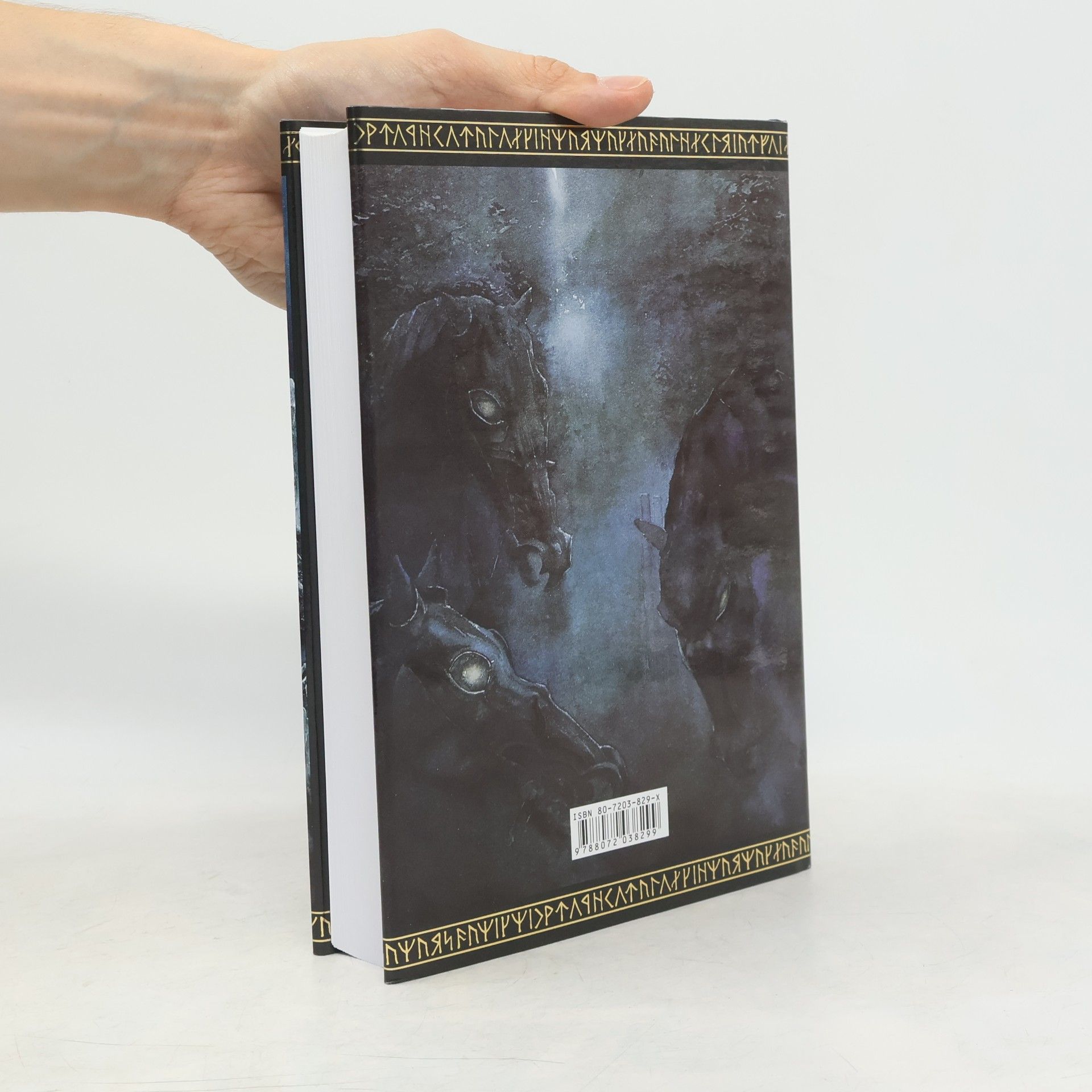 J. R. R. Tolkien Pán prstenů. Společenstvo prstenu