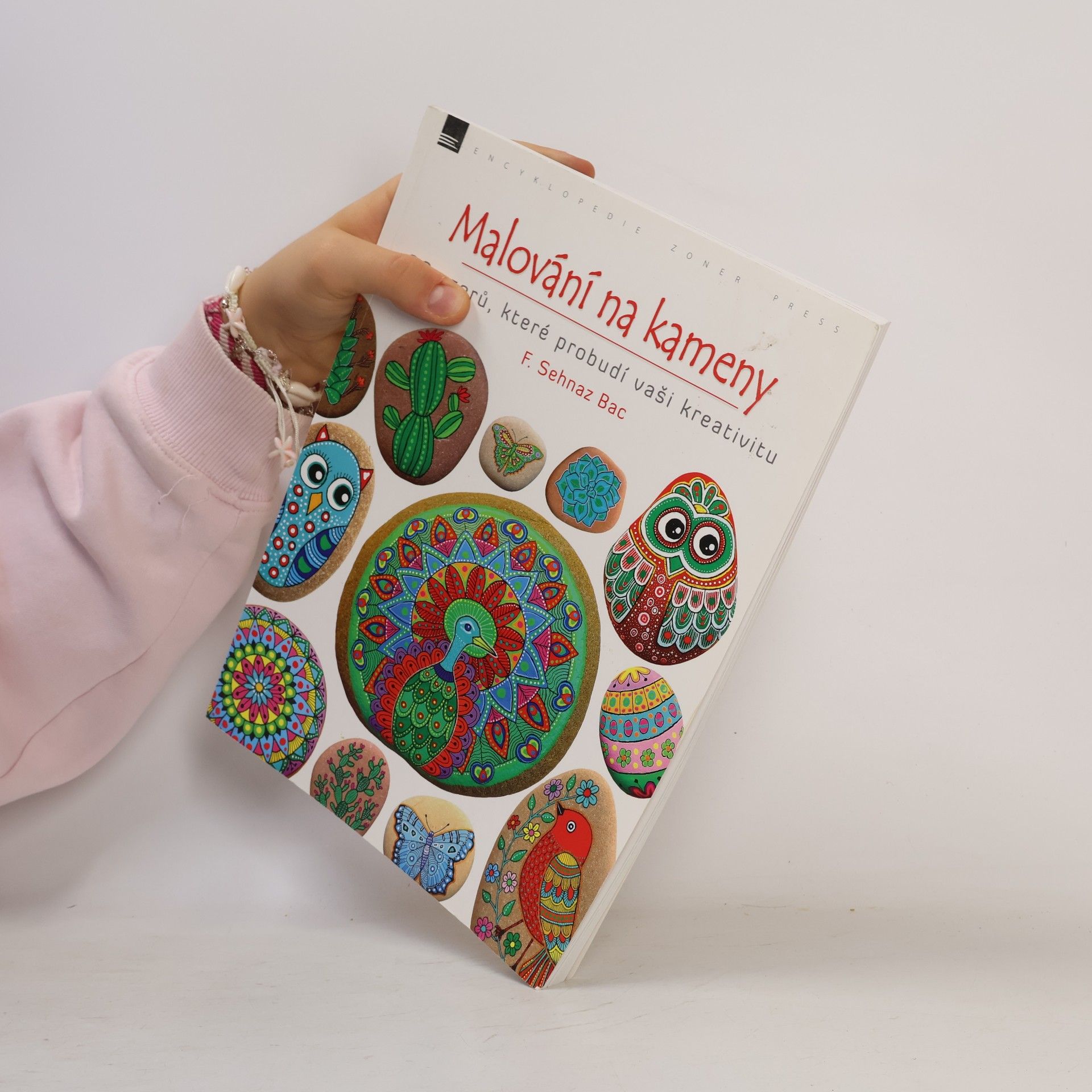 F. Sehnaz Bac Malování na kameny: 30 vzorů, které probudí vaši kreativitu