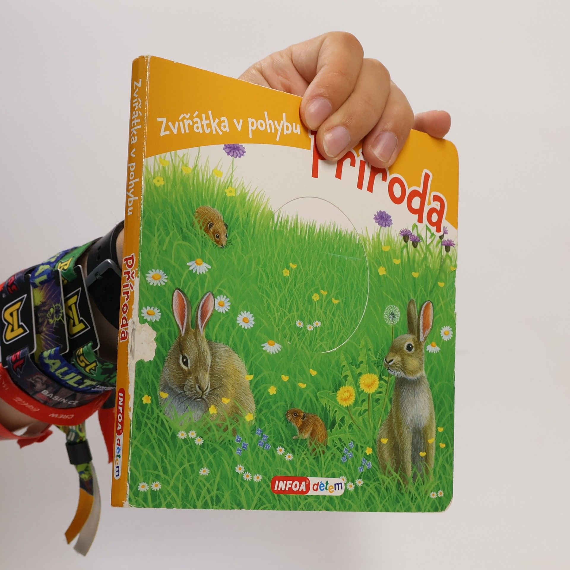 Bob Bampton Příroda: Zvířátka v pohybu