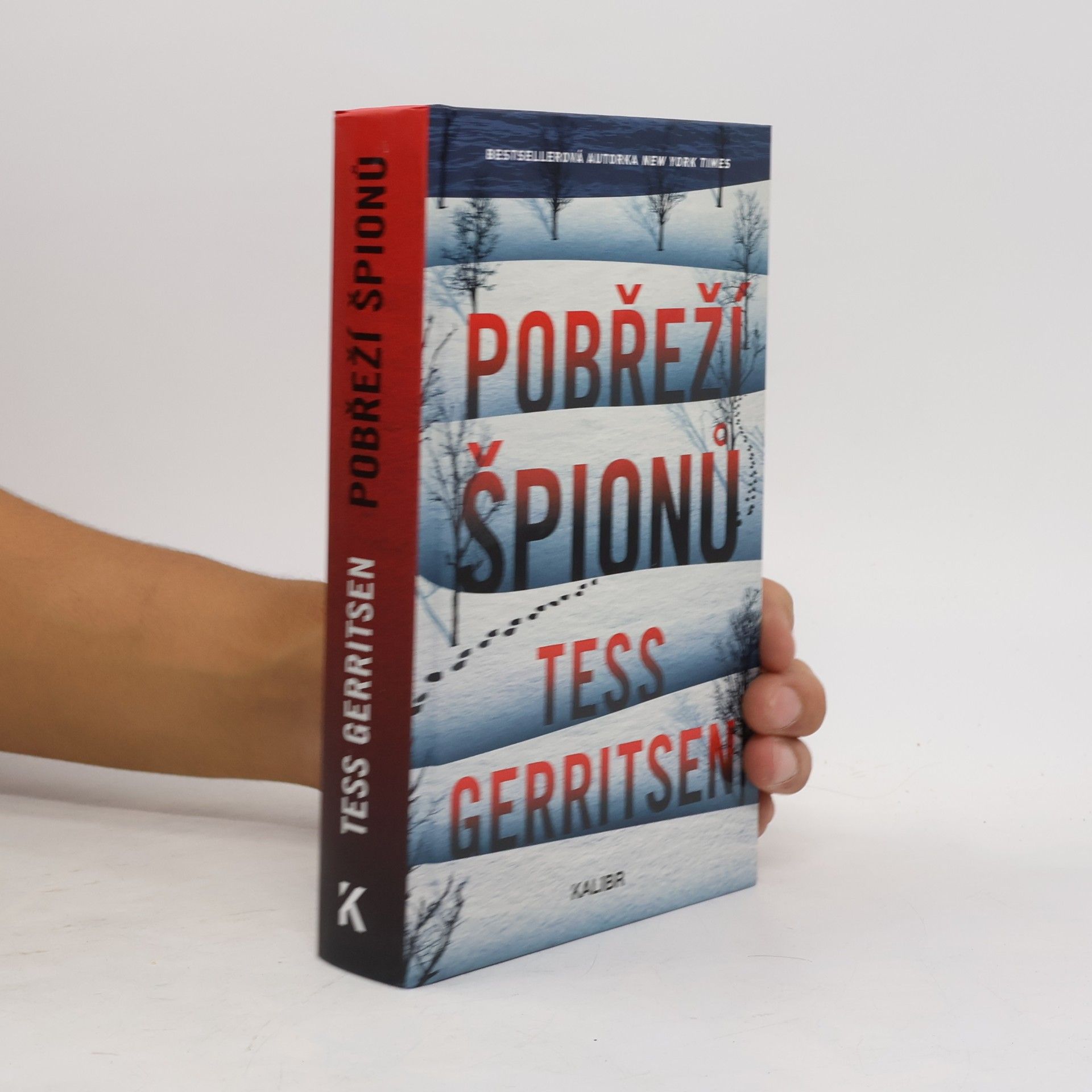 Tess Gerritsen Pobřeží špionů