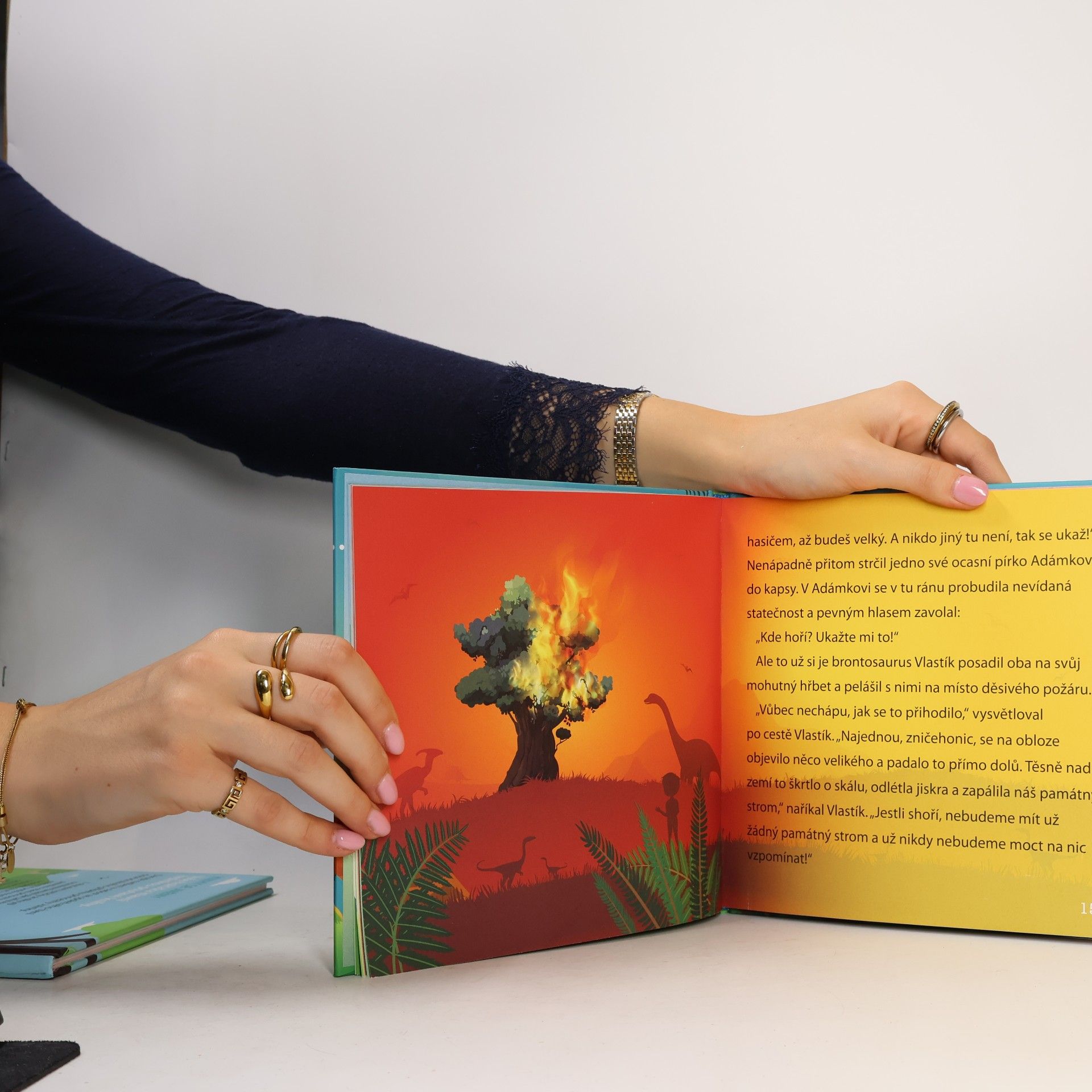 Šimon Matějů Jak Adámek zachránil dinosaury a babičku
