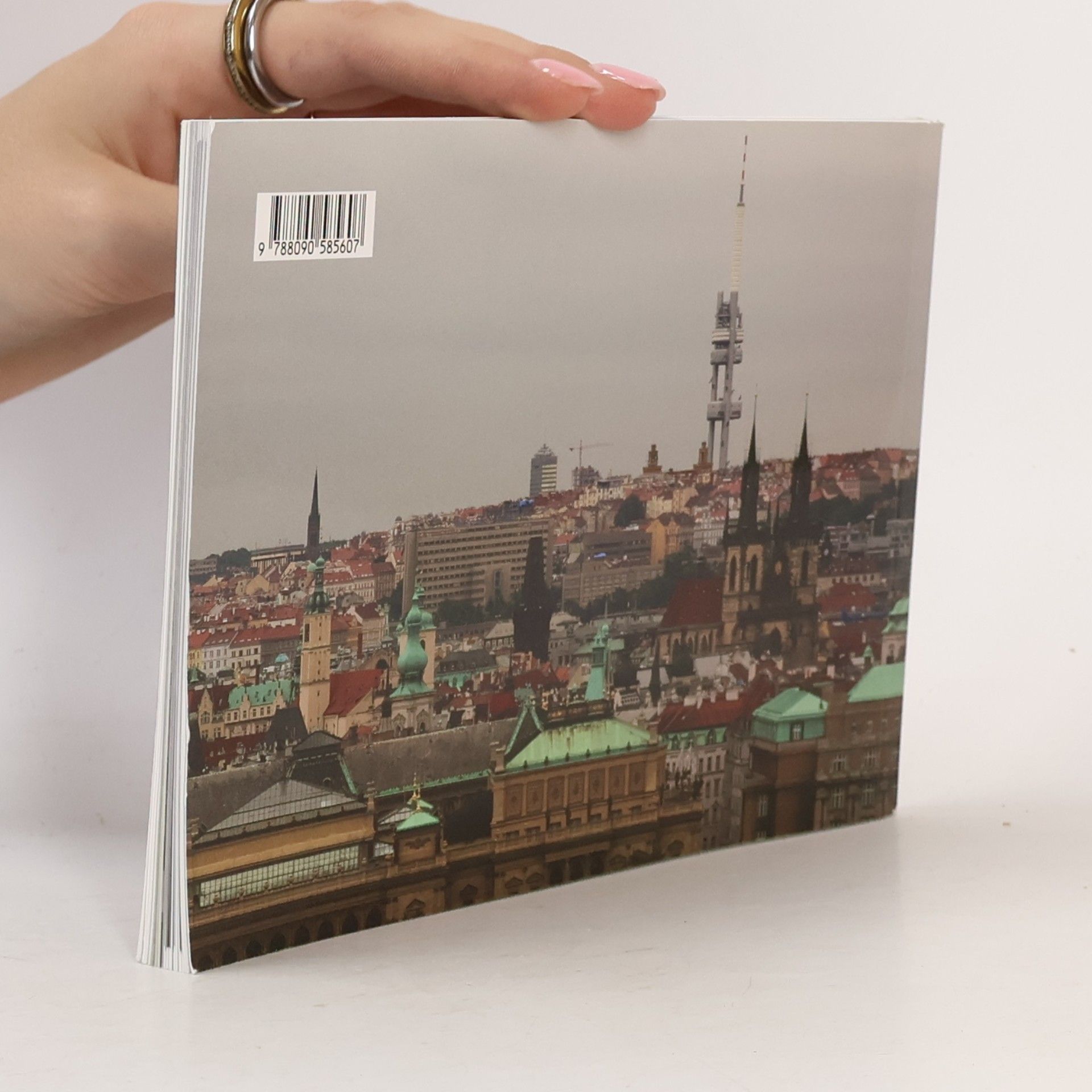 Dita Dvořáková Všeobecný penzijní ústav - Dům odborových svazů