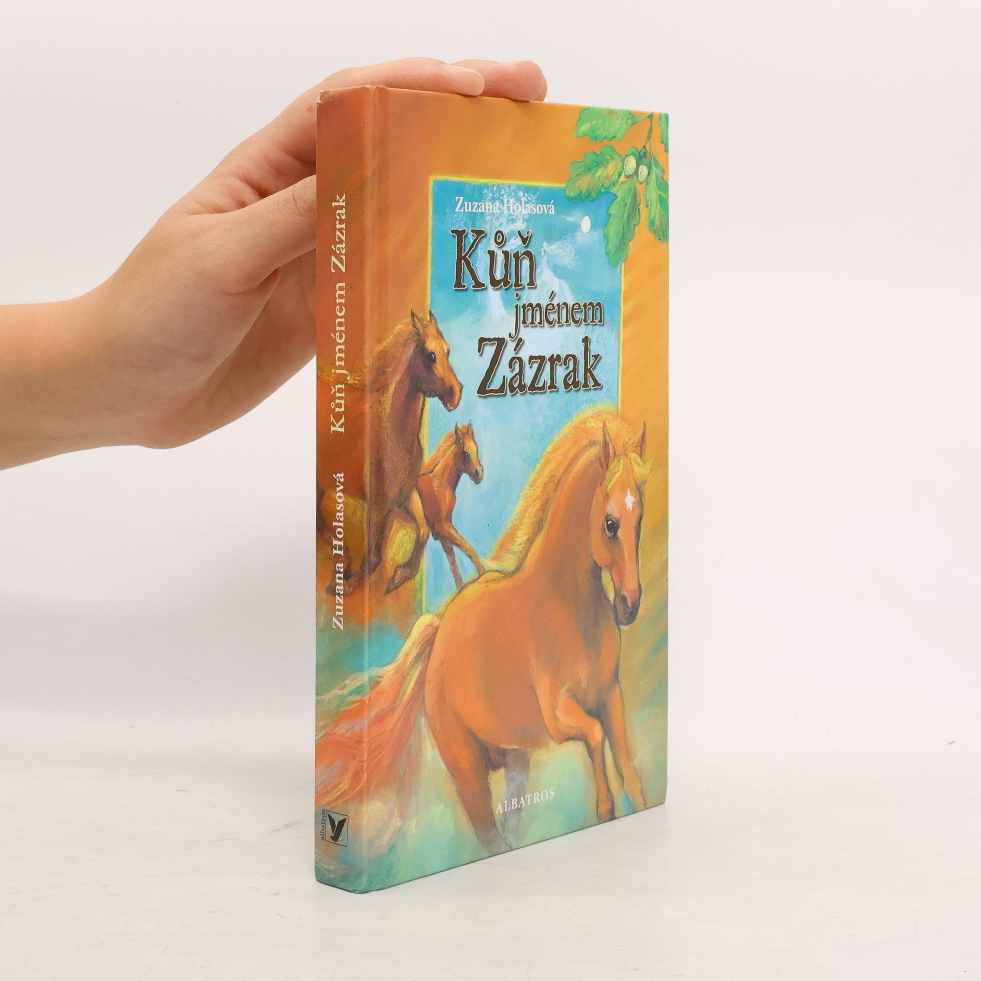 Zuzana Holasová Kůň jménem Zázrak