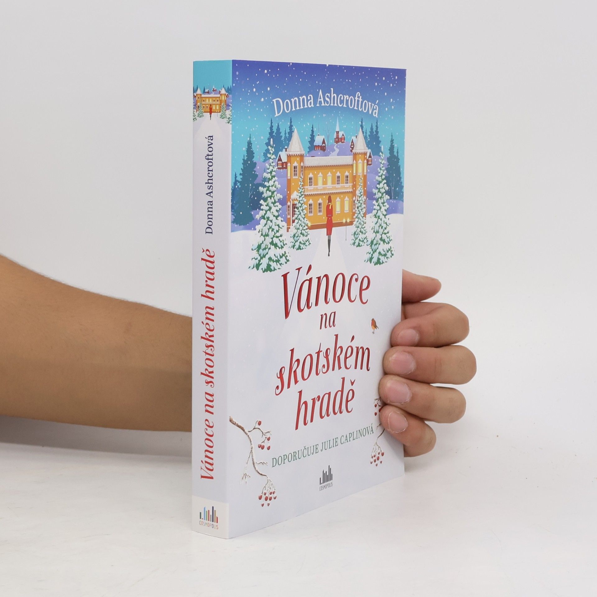 Donna Ashcroft Vánoce na skotském hradě