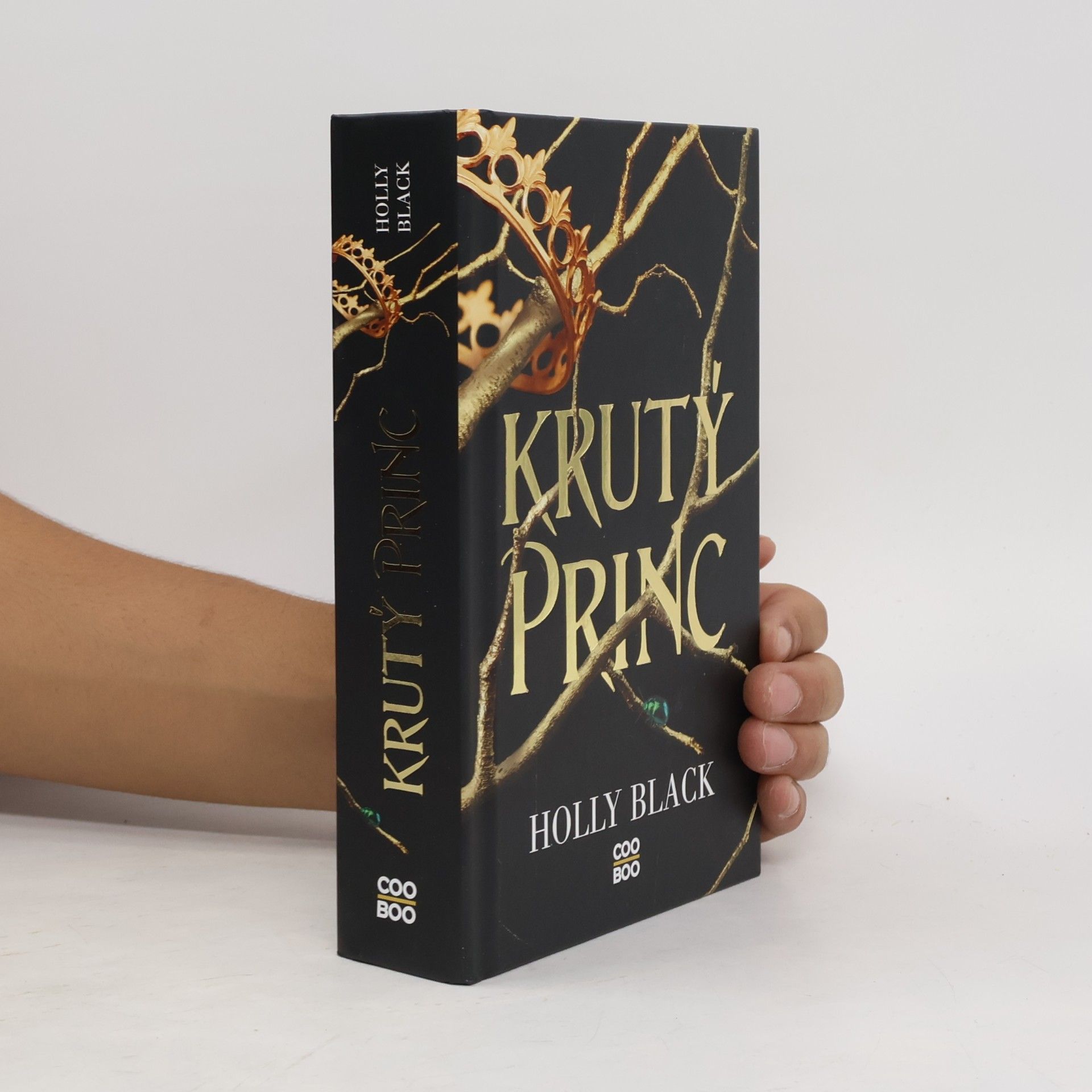 Holly Black Krutý princ