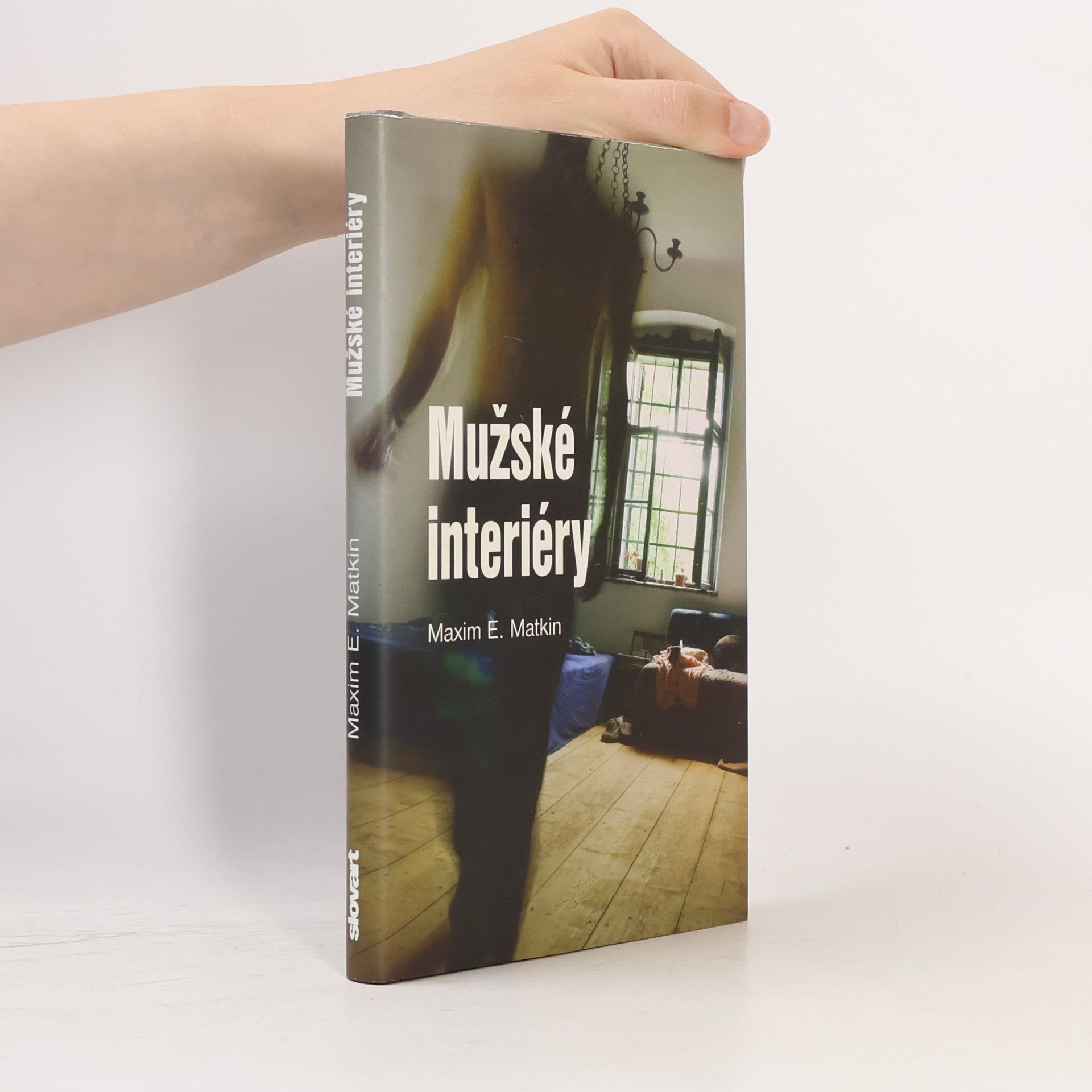 Mužské interiéry