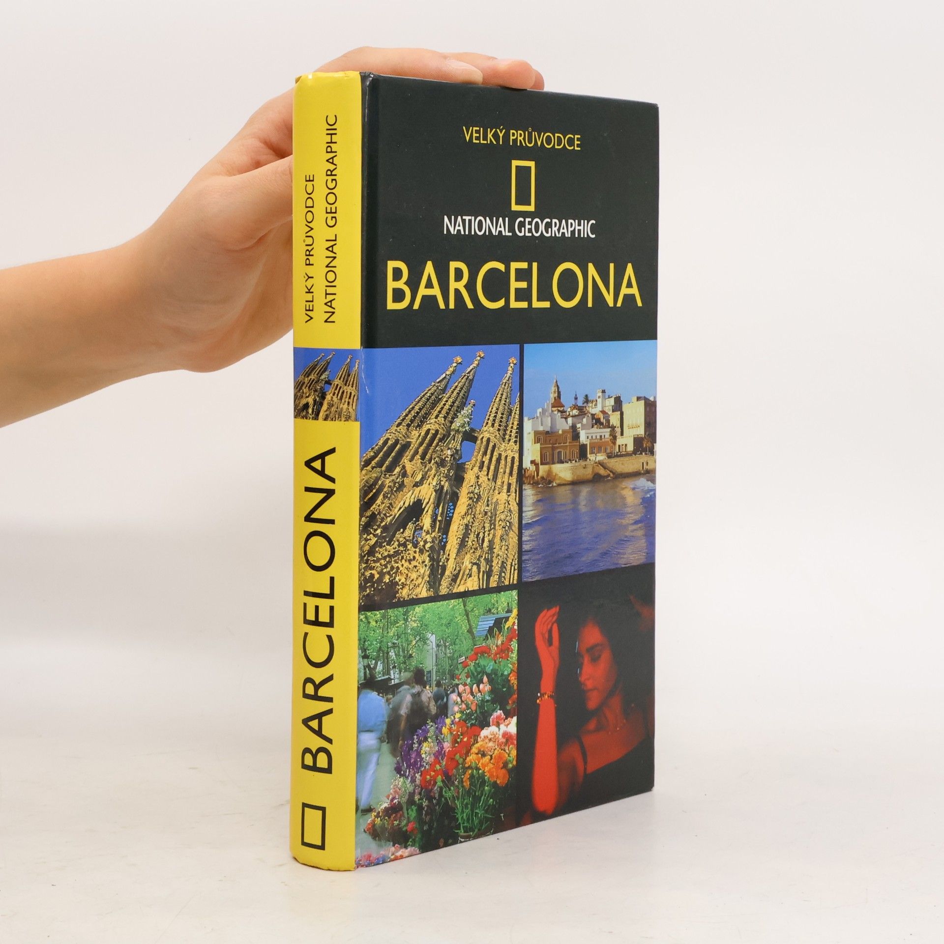 Damien Simonis Barcelona