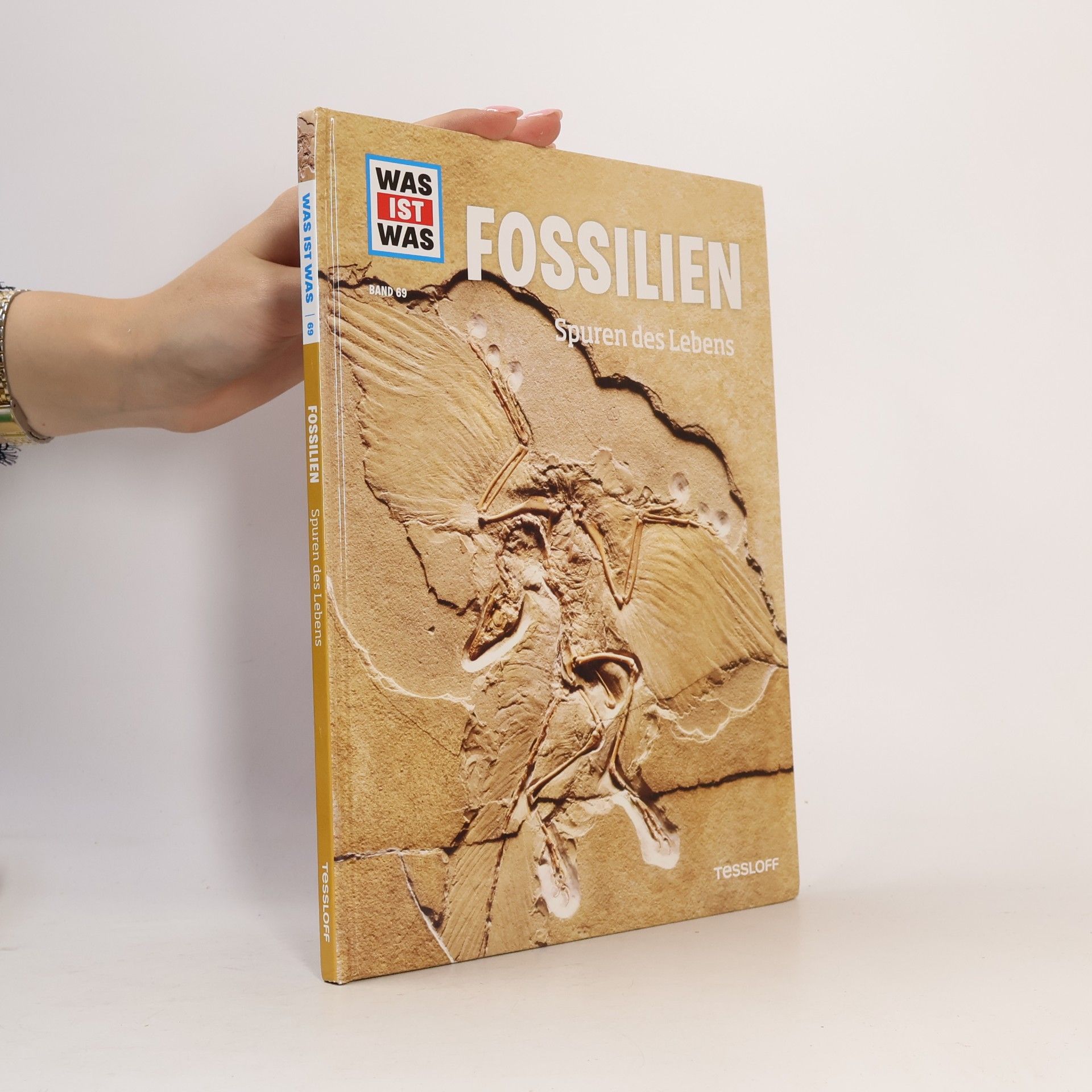 Manfred Baur Fossilien