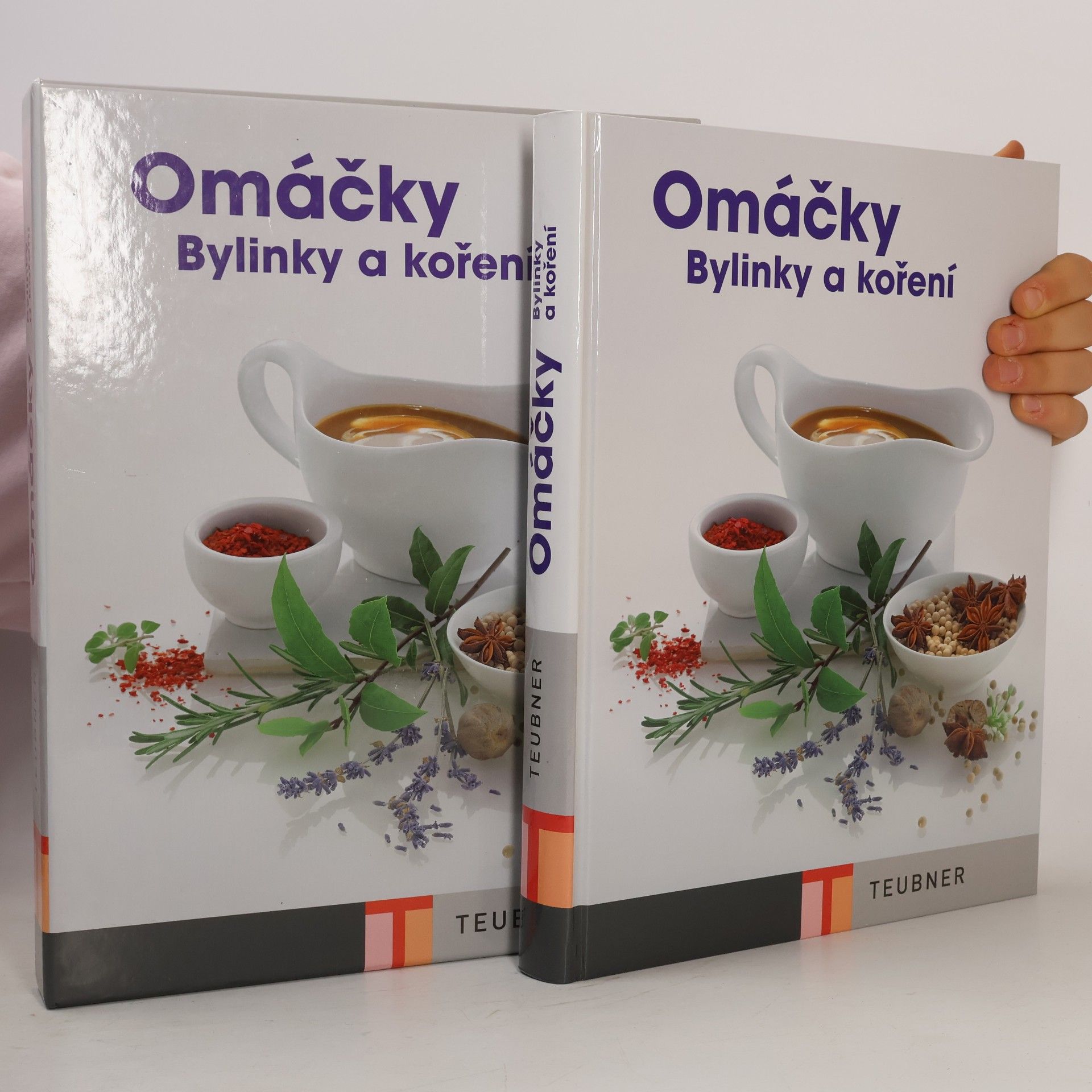 Kolektiv autorů Omáčky. Bylinky a koření