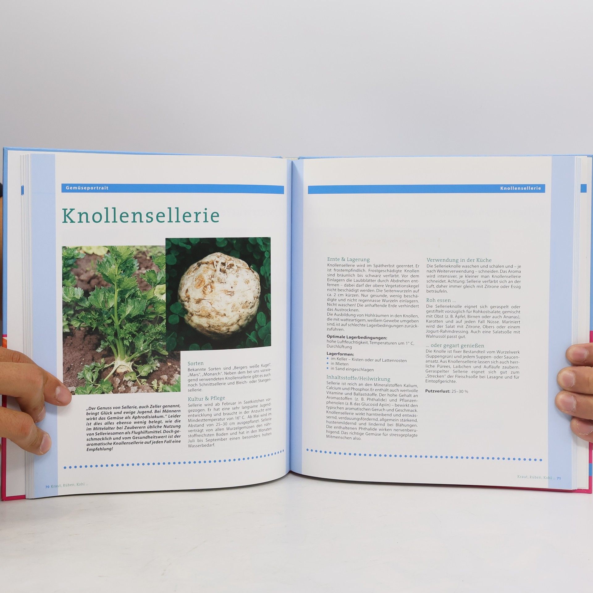 Rosemarie Zehetgruber Wintergemüse: Kraut, Rüben, Kohl...