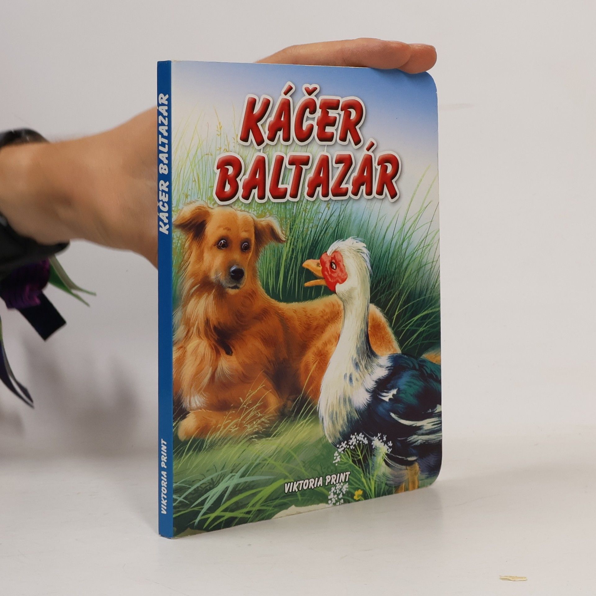 Viktoria Print Káčer, Baltazár