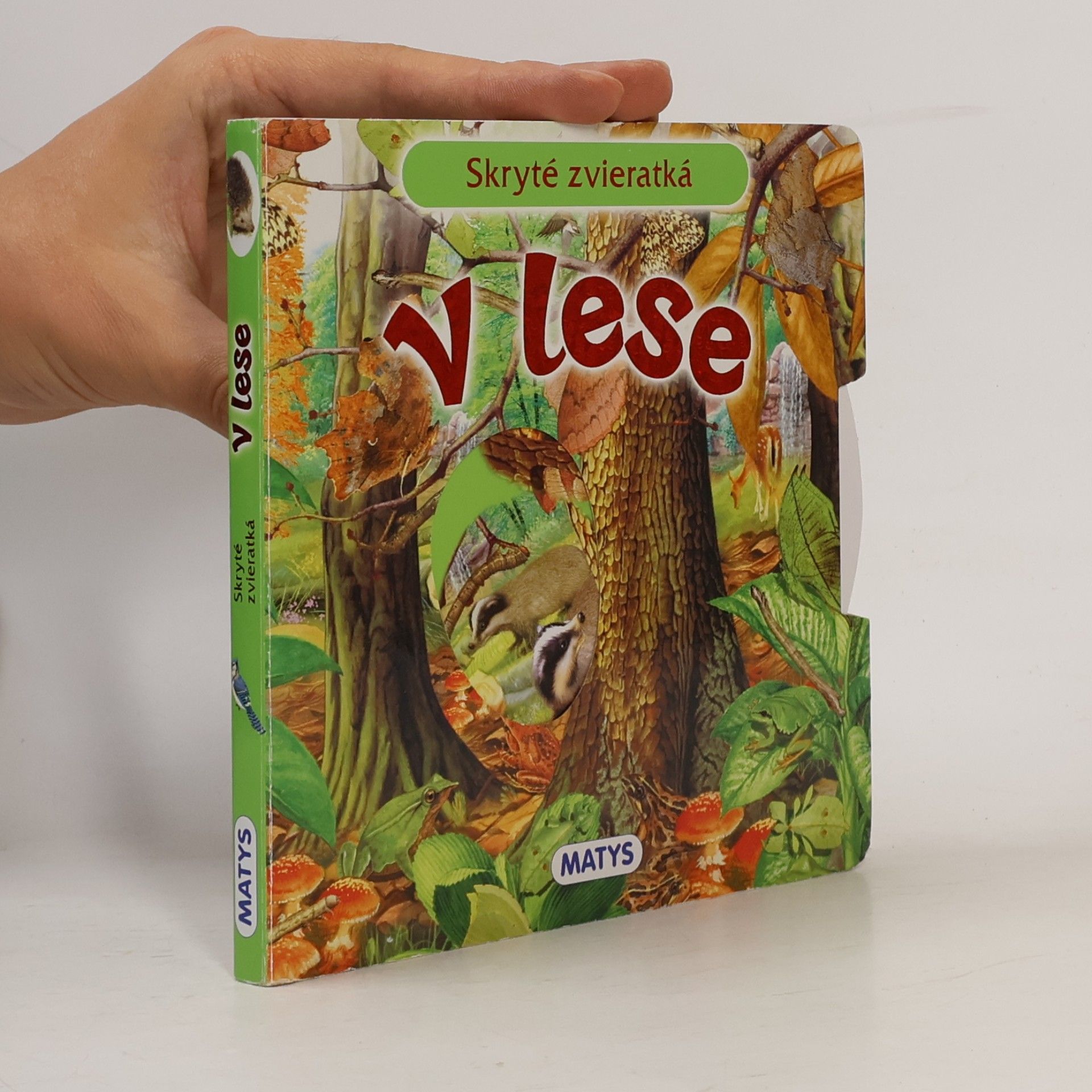 Kolektiv autorů V lese