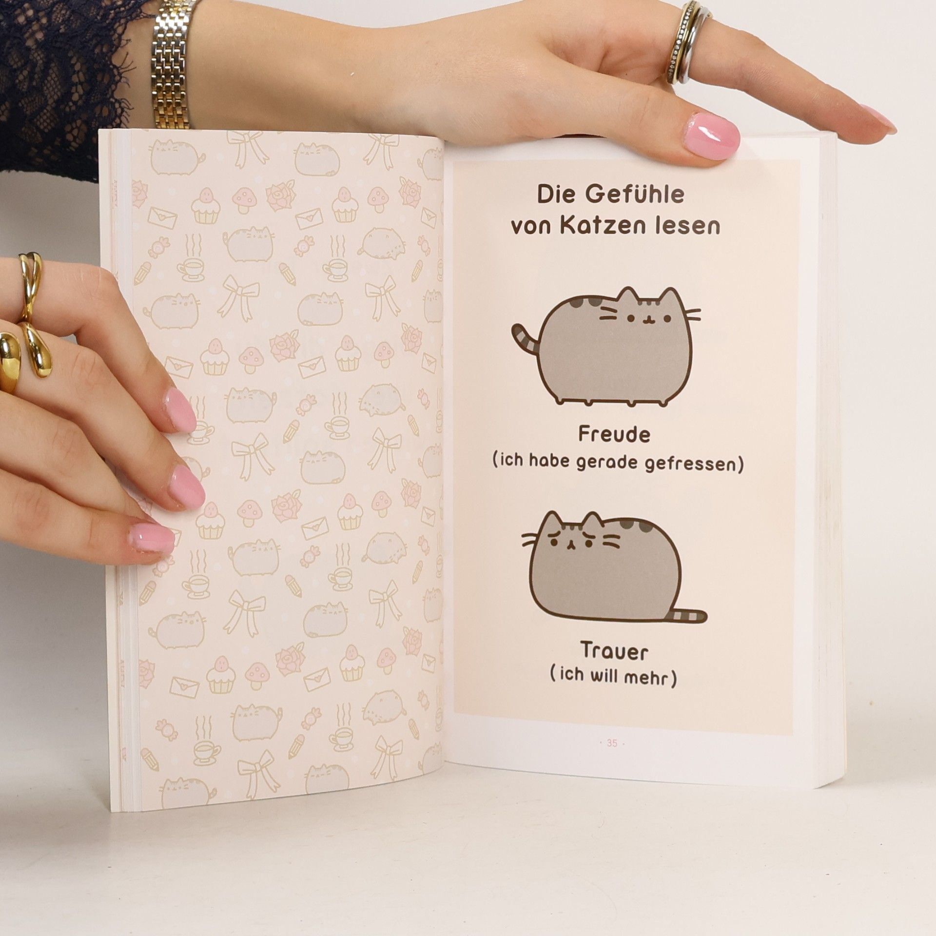 Claire Belton Pusheen, die Katze