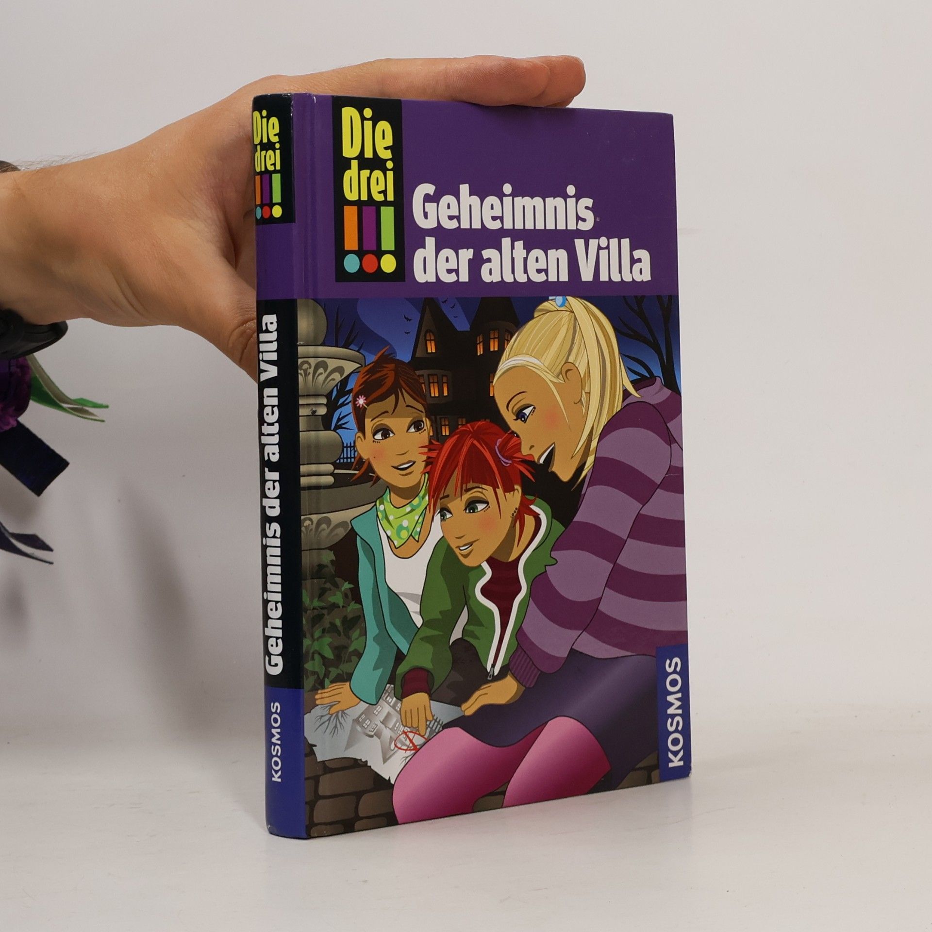 Maja von Vogel Die drei. Geheimnis der alten Villa