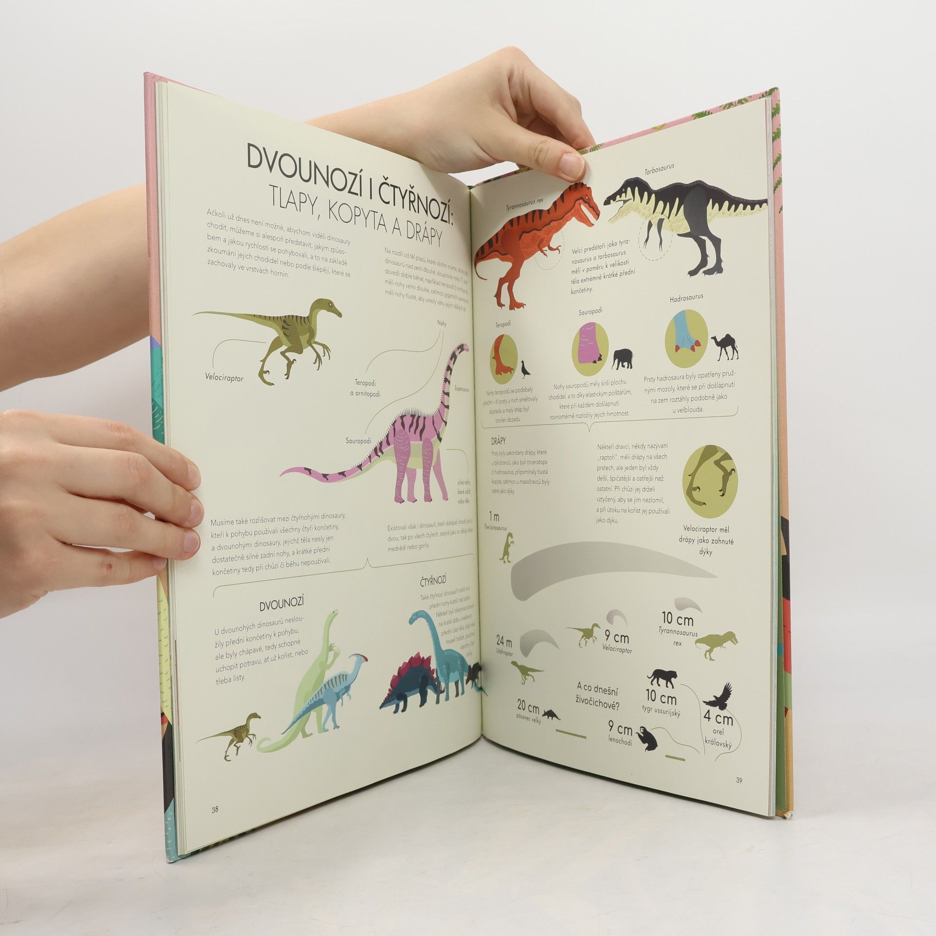 Cristina M. Banfi Objevujeme dinosaury