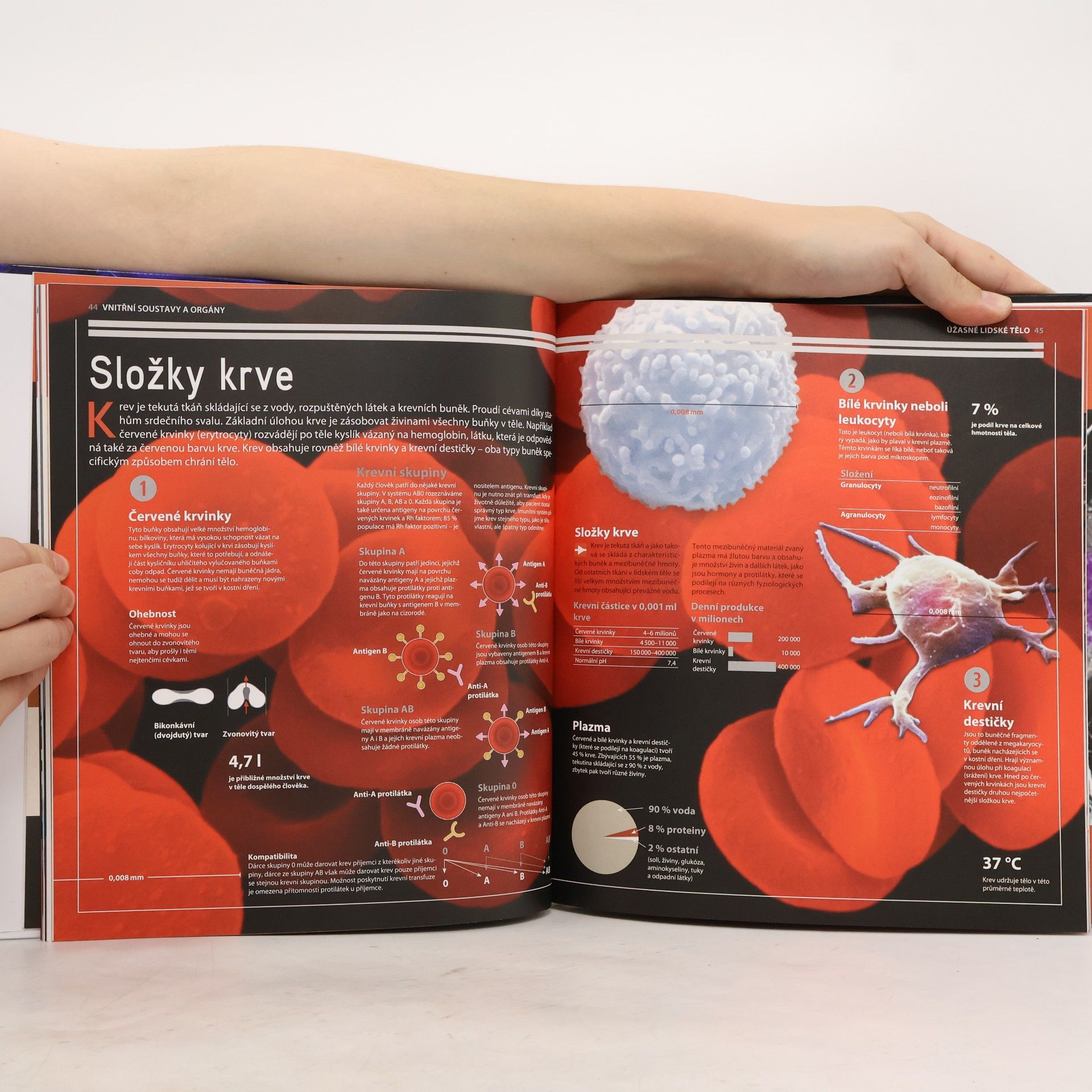 Various authors Úžasné lidské tělo - Jak to funguje?