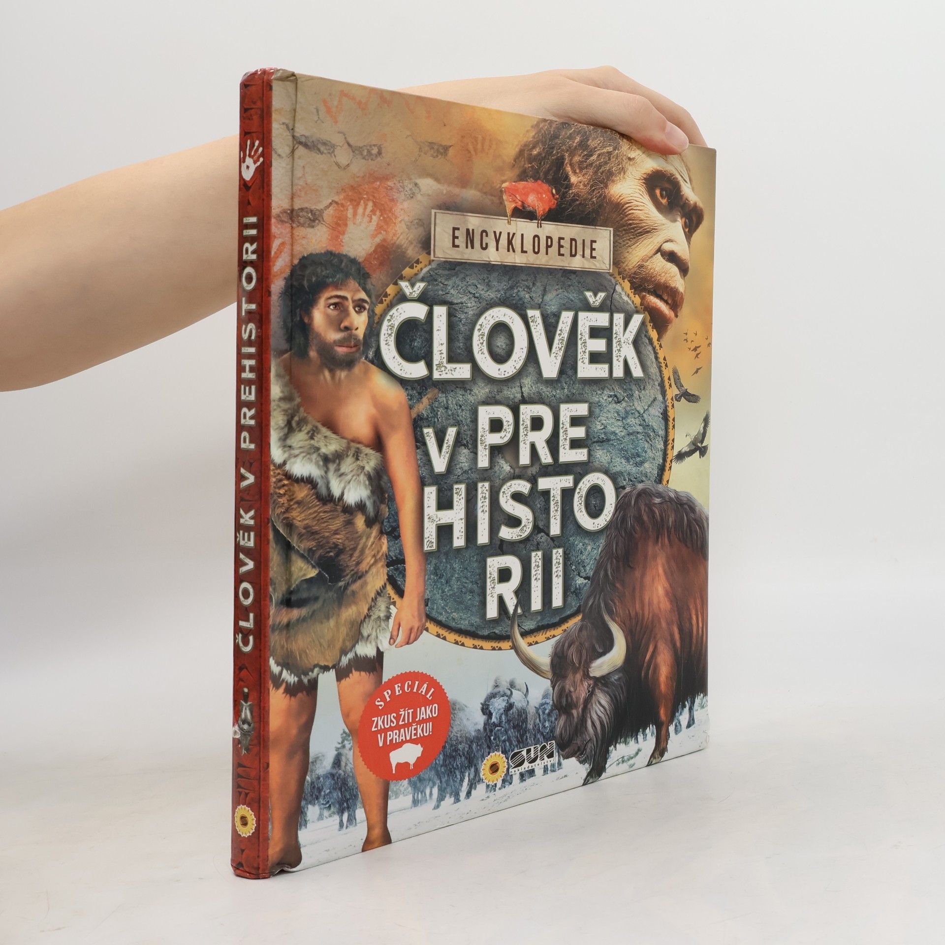 Erica Carracedo Člověk v prehistorii