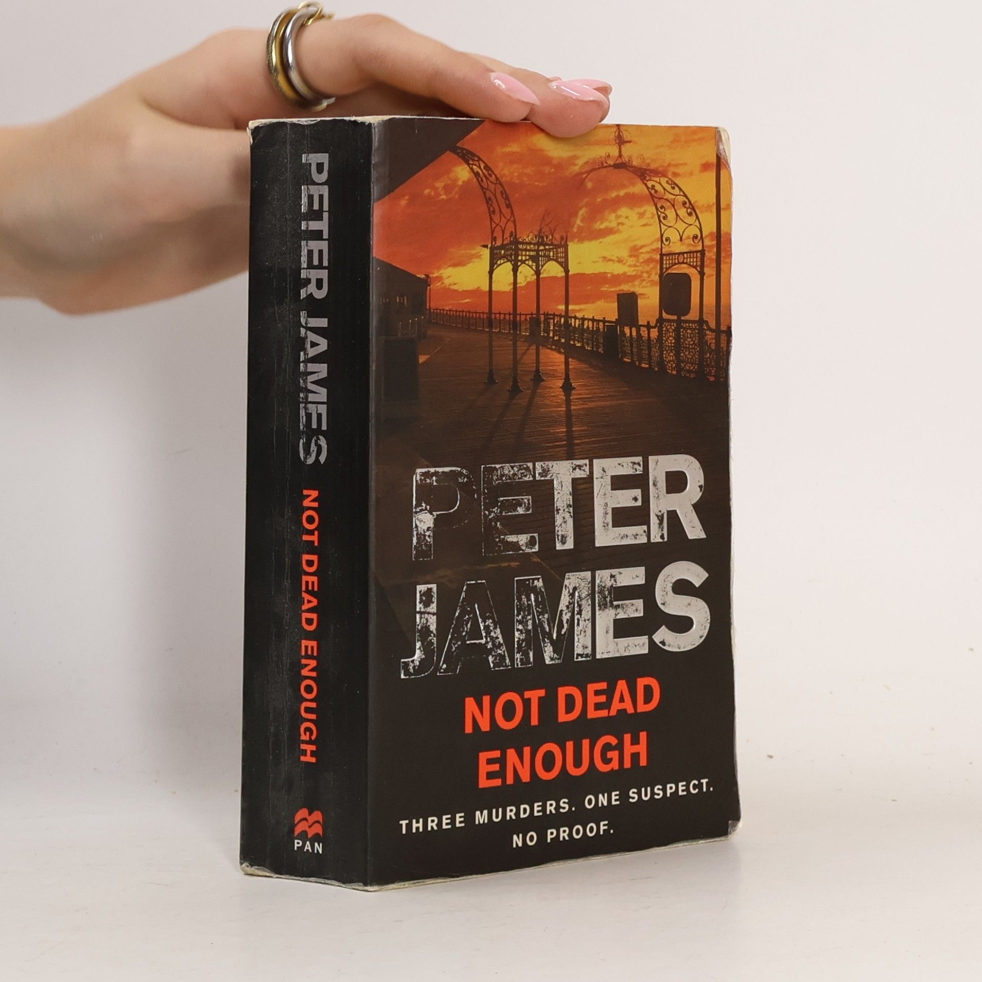Peter James Not Dead Enough