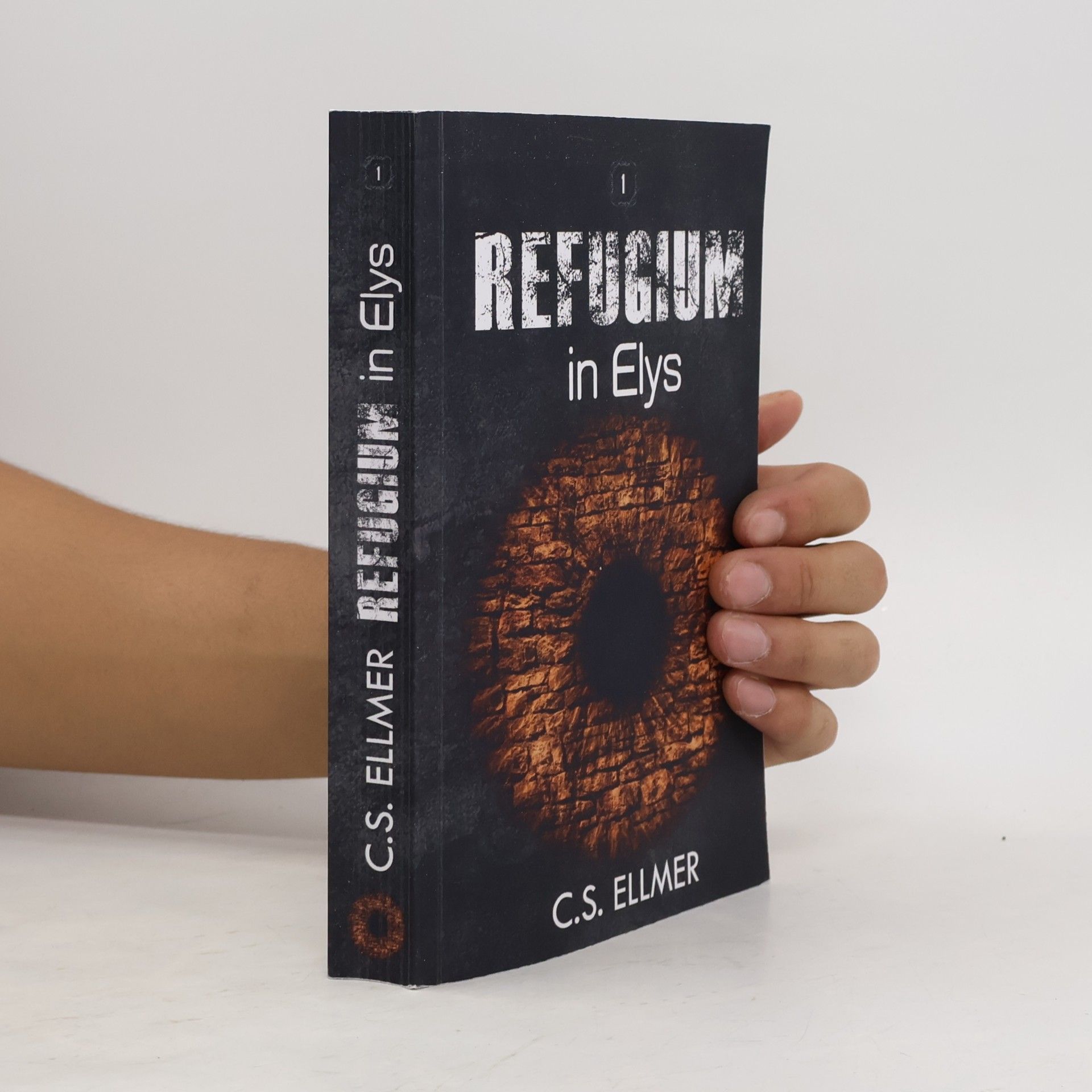 C.S. Ellmer Refugium in Elys: Band eins der dystopischen Fantasytrilogie (Die Refugium Saga, Band 1)