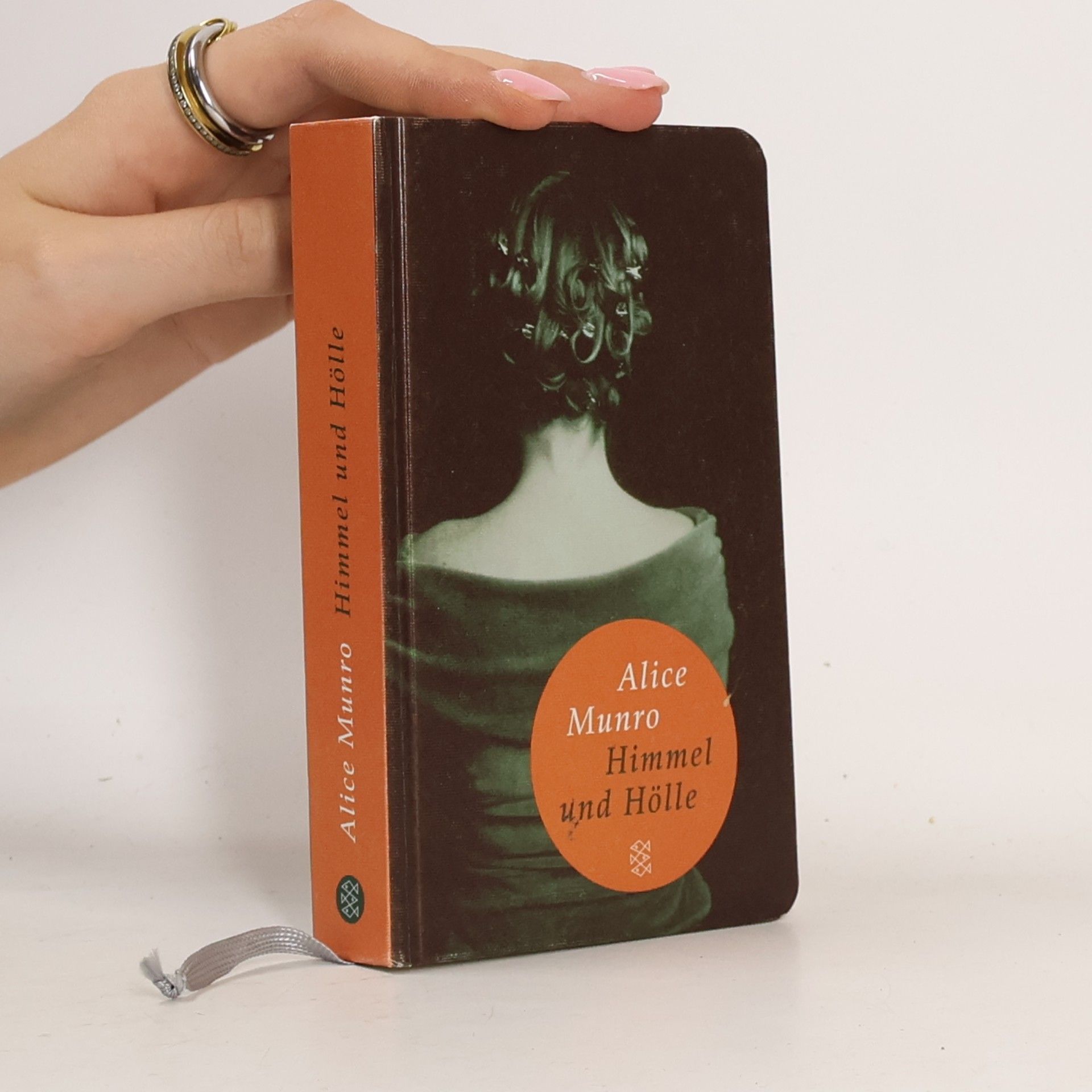 Alice Munro Himmel und Hölle