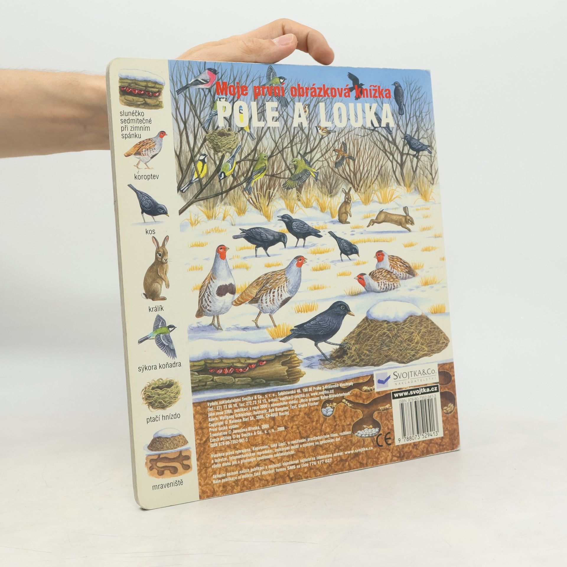 Bob Bampton Pole a louka
