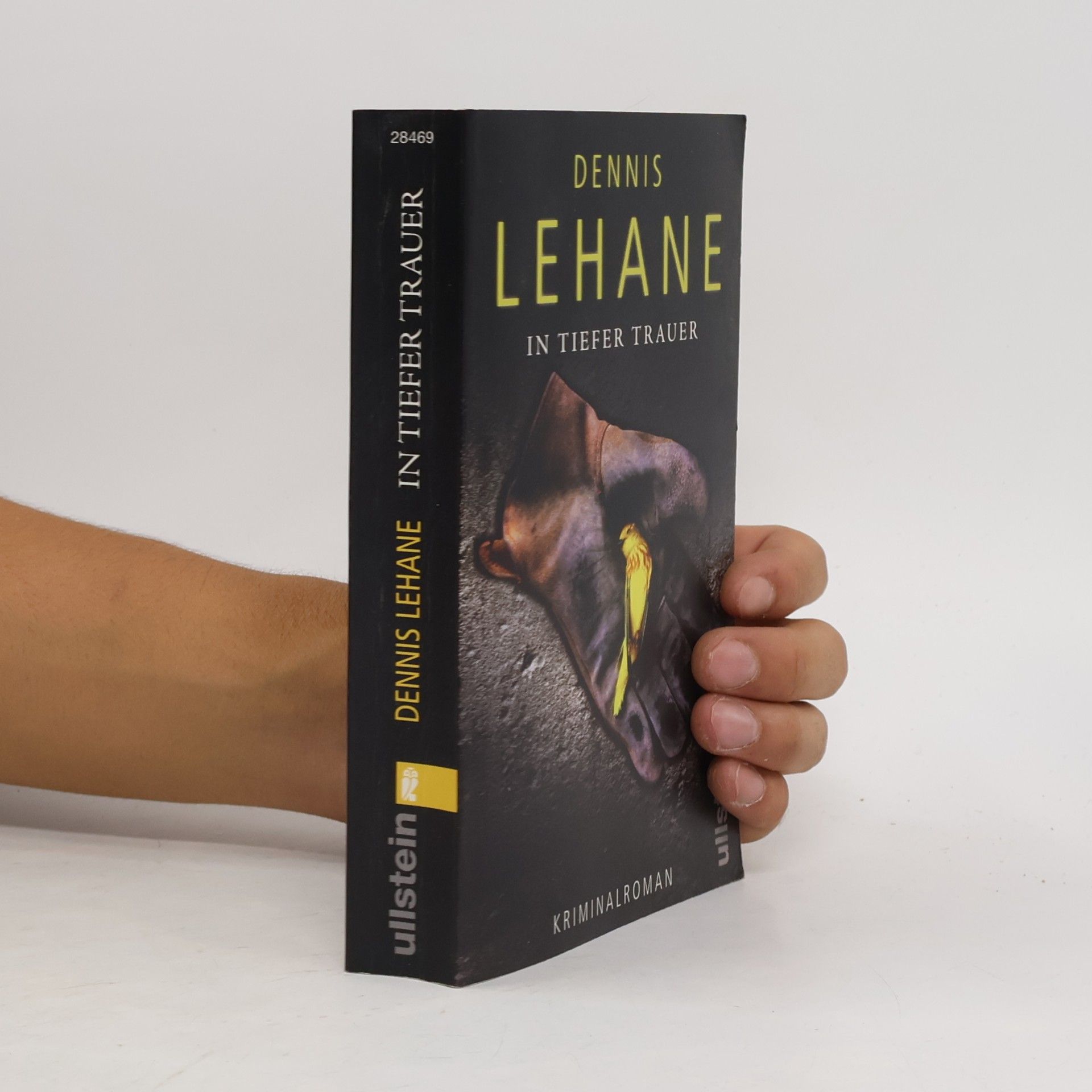 Dennis Lehane In tiefer Trauer