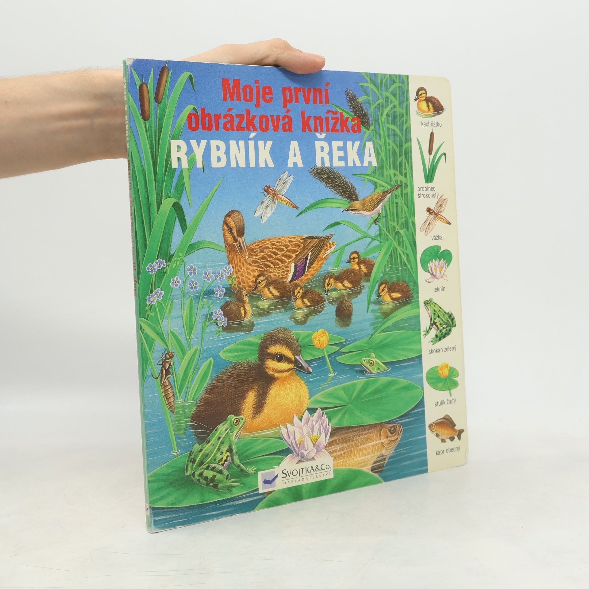 Gisela Fischer-Lingat Rybník a řeka – moje první obrázková knížka