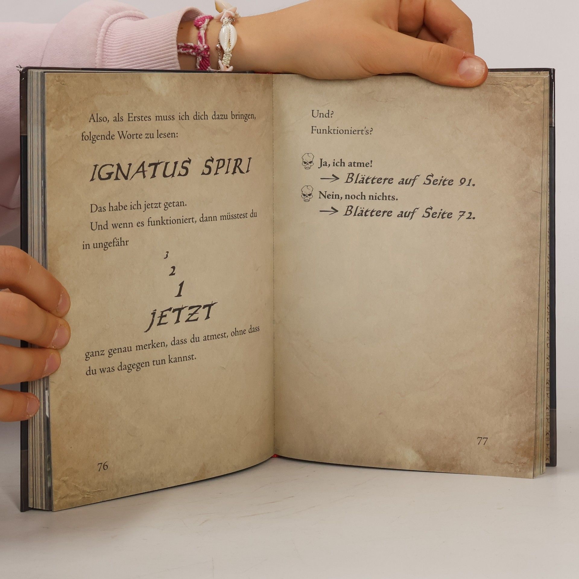 Magnnus Myst Das kleine Böse Buch