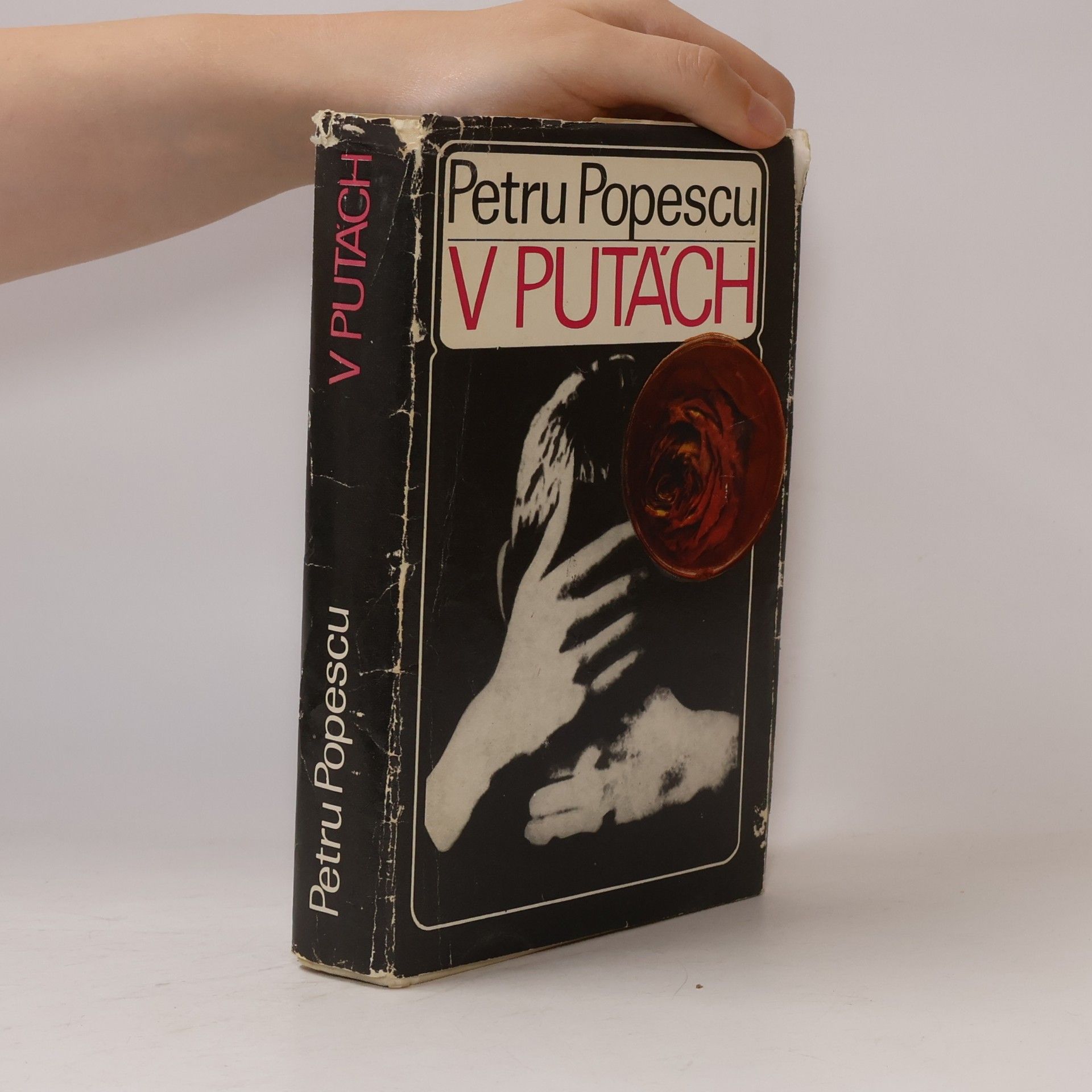 Petru Popescu V putách