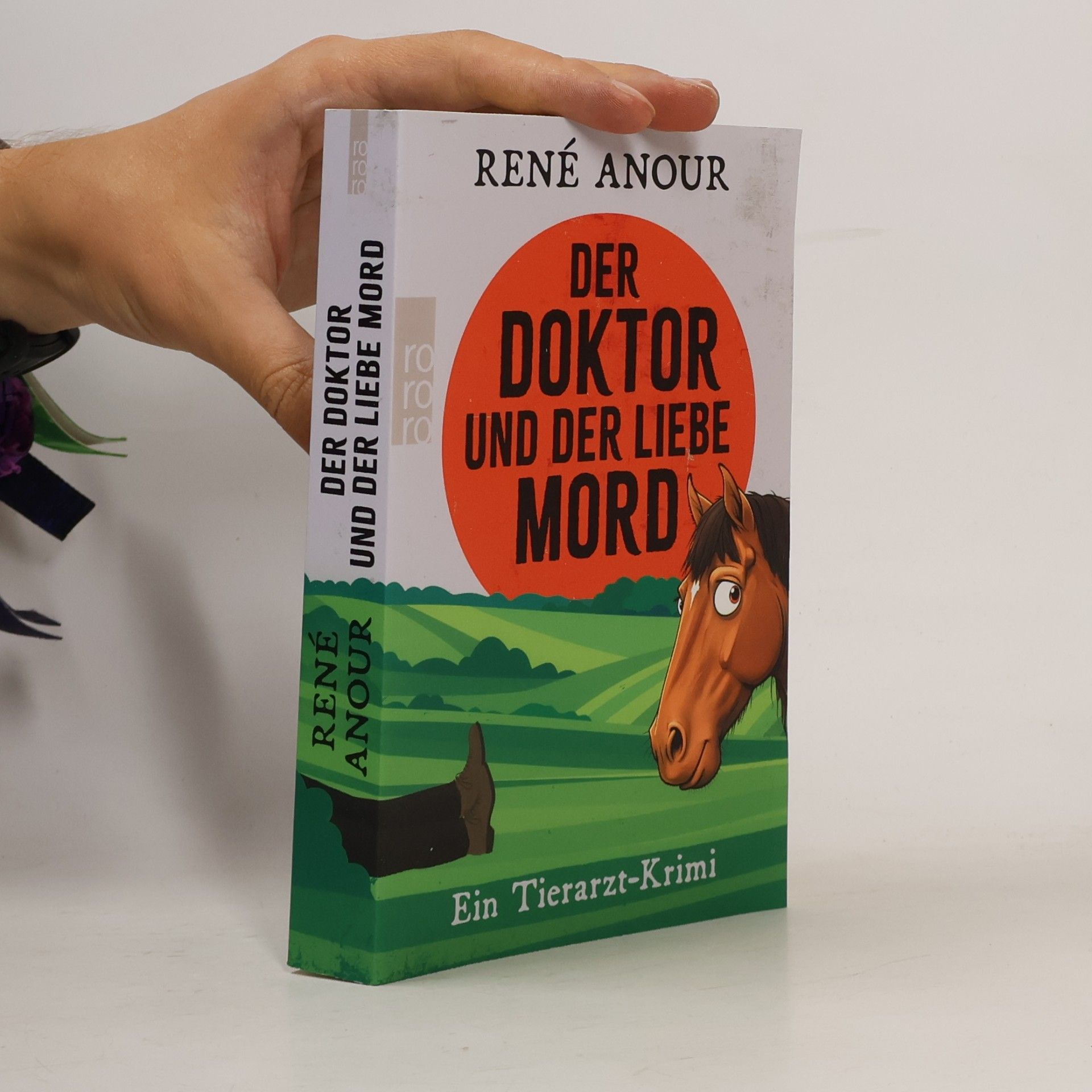 René Anour Der Doktor und der liebe Mord
